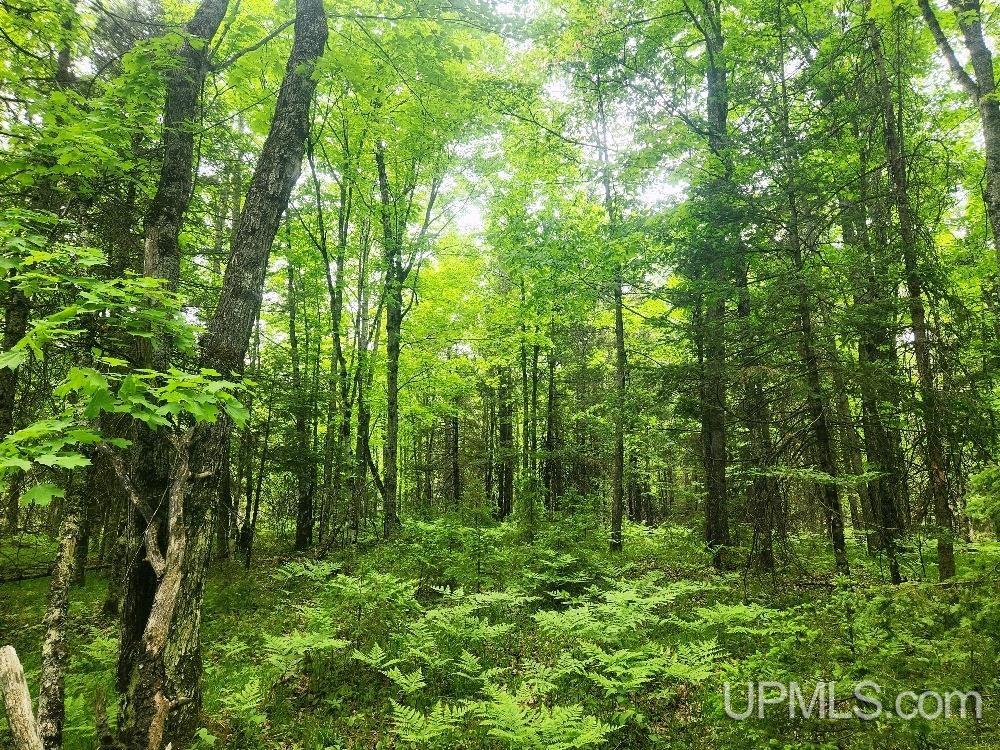 Lot 5 Wilderness Way Road Property Photo 18