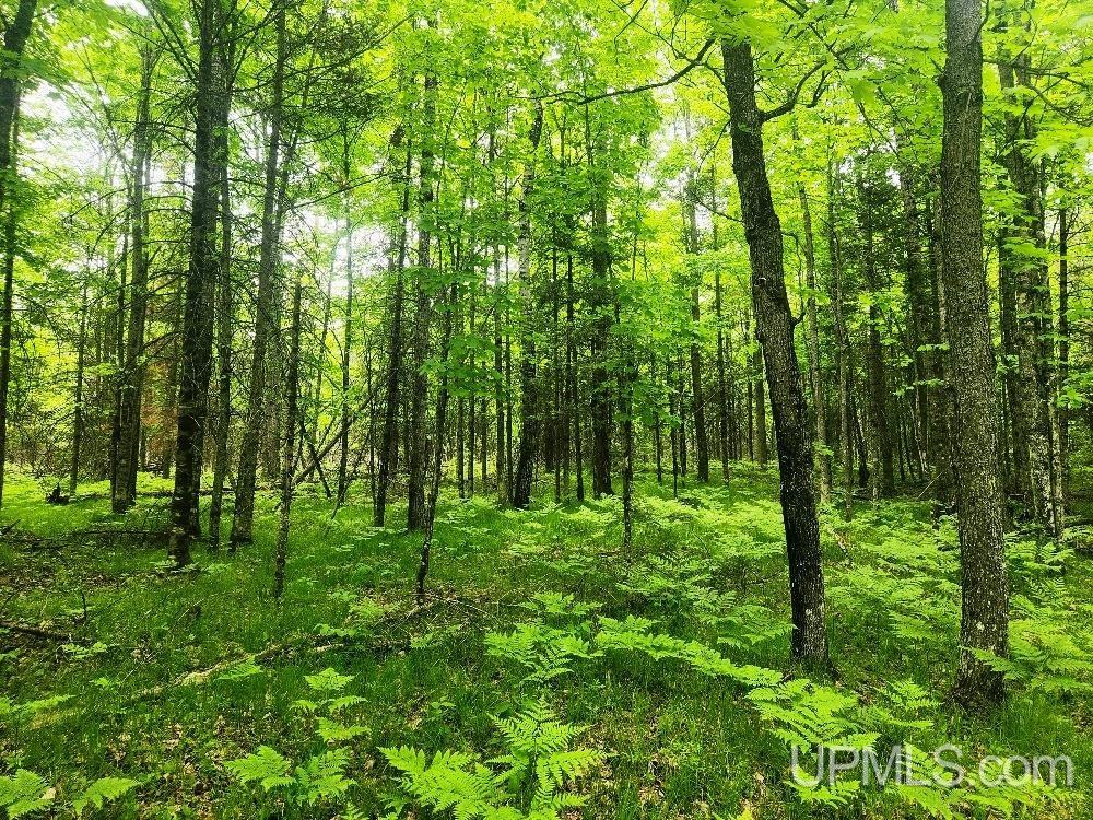 Lot 5 Wilderness Way Road Property Photo 20