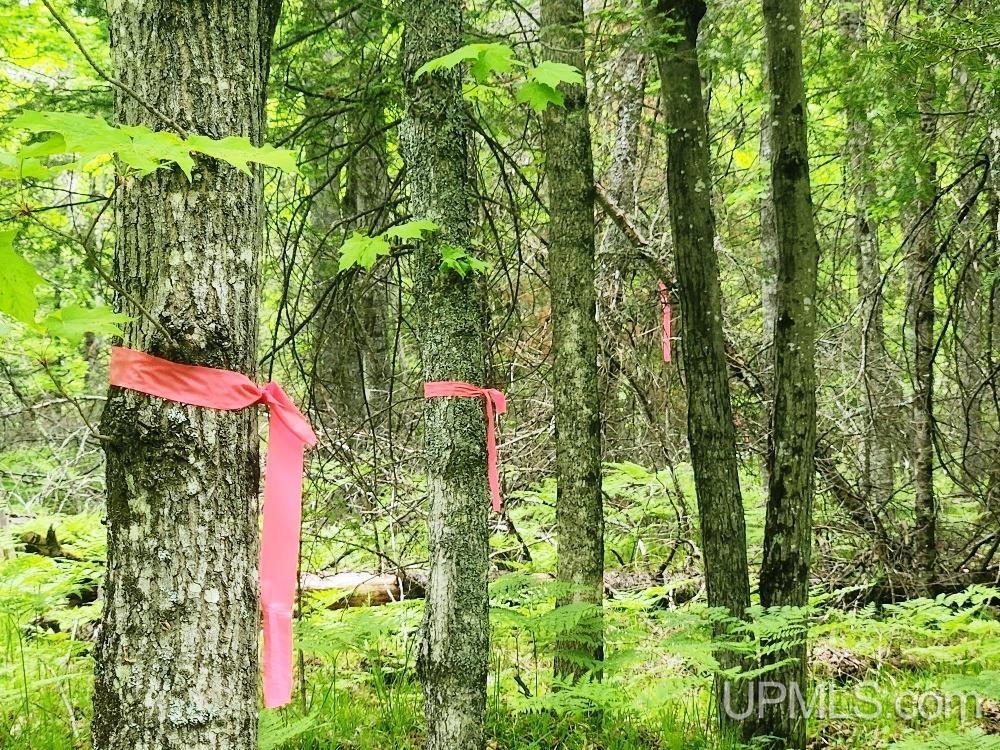 Lot 5 Wilderness Way Road Property Photo 21