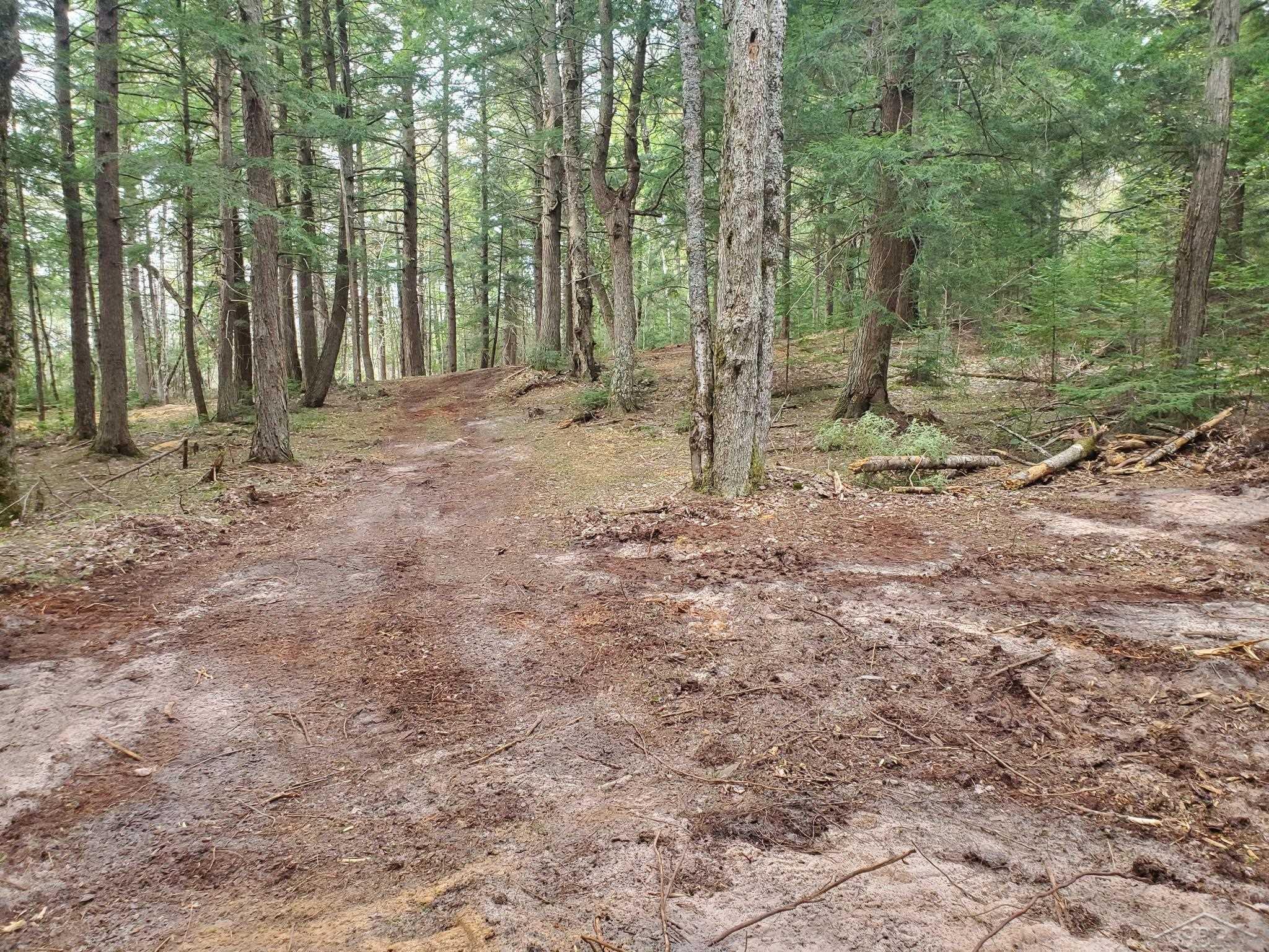 Old Plank Road Property Photo 1