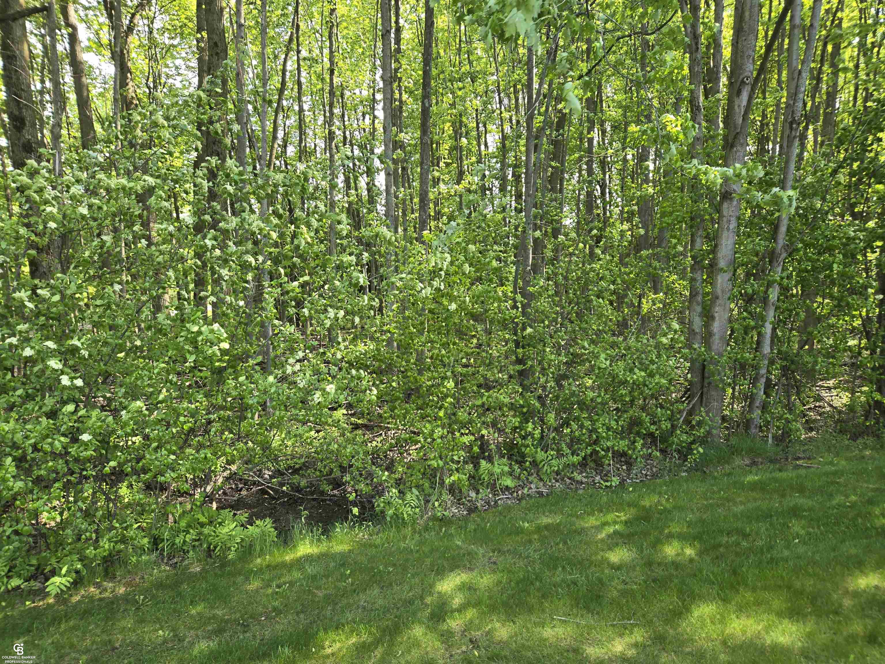 9660 Brandon Road Property Photo 67