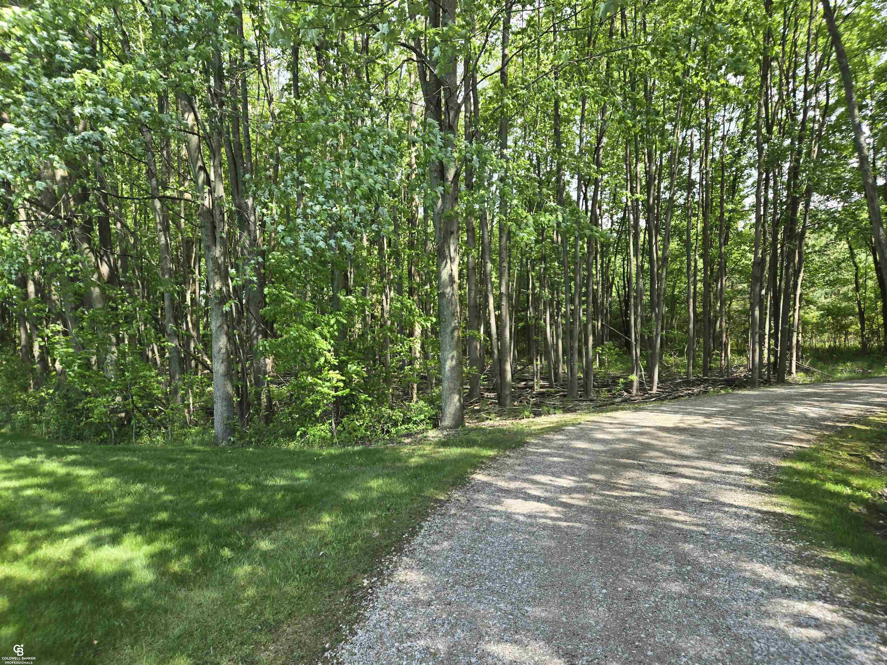 9660 Brandon Road Property Photo 68