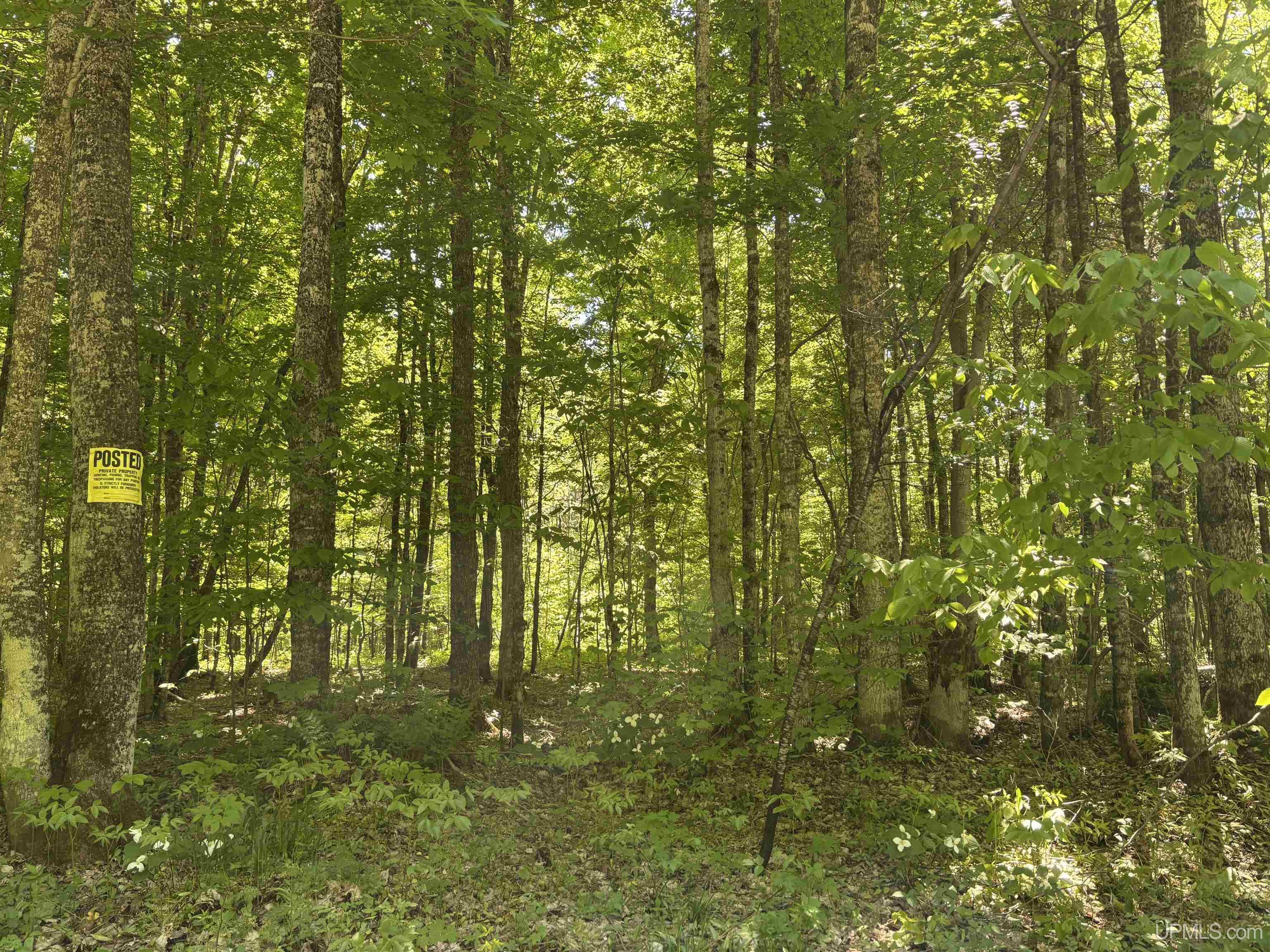 Tbd Osborn Drive Property Photo 1