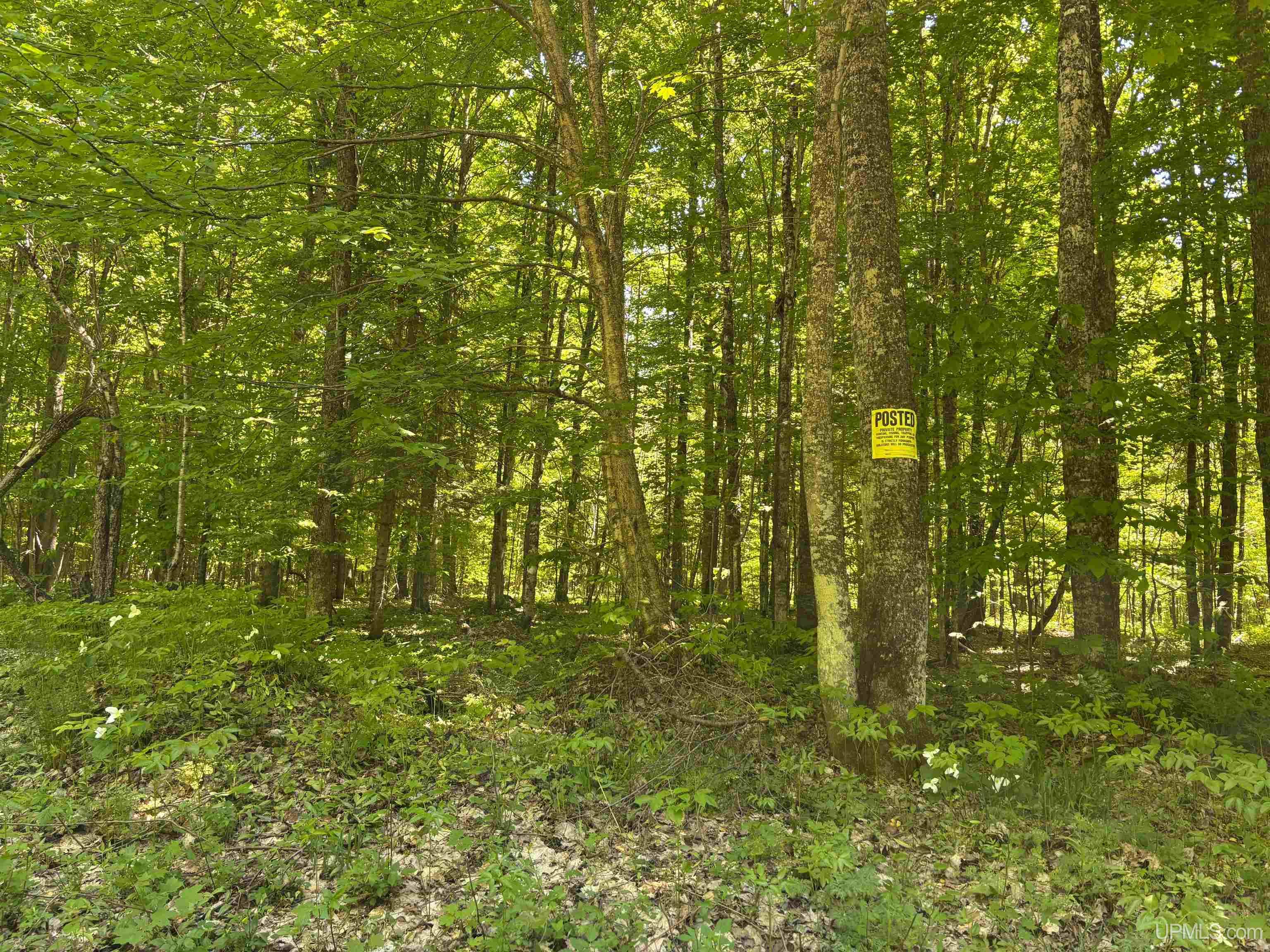 Tbd Osborn Drive Property Photo 2