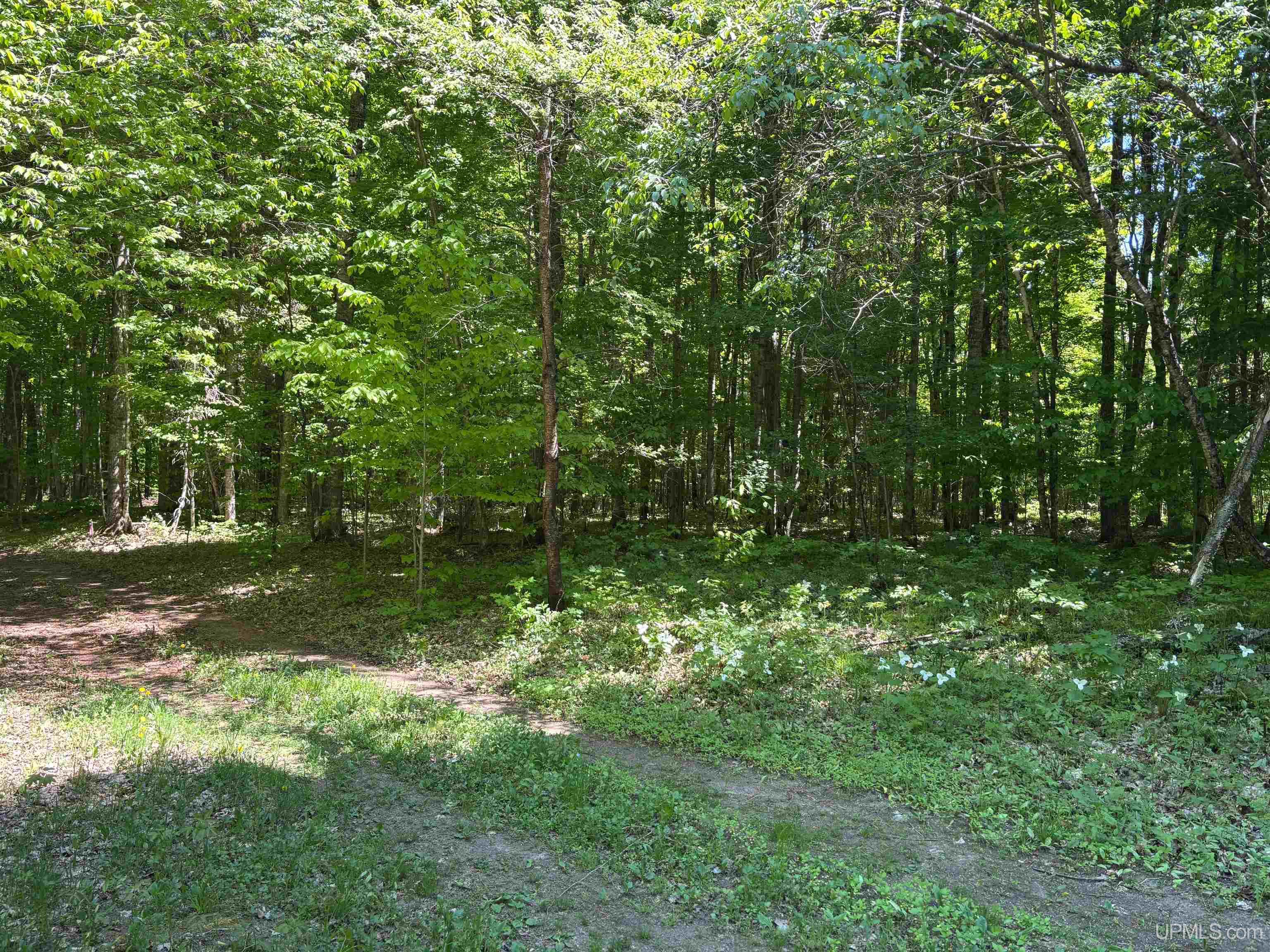 Tbd Osborn Drive Property Photo 8