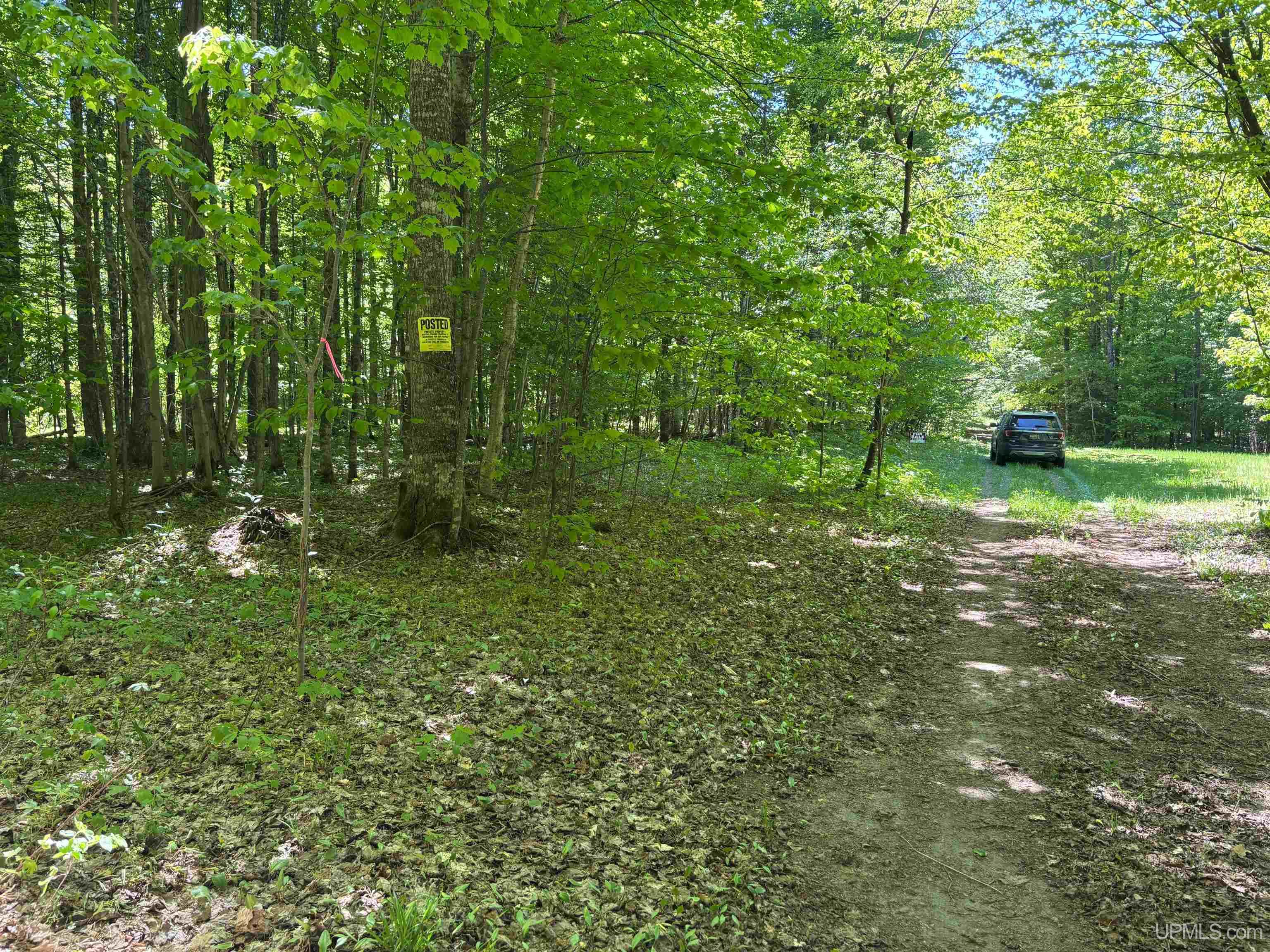 Tbd Osborn Drive Property Photo 9