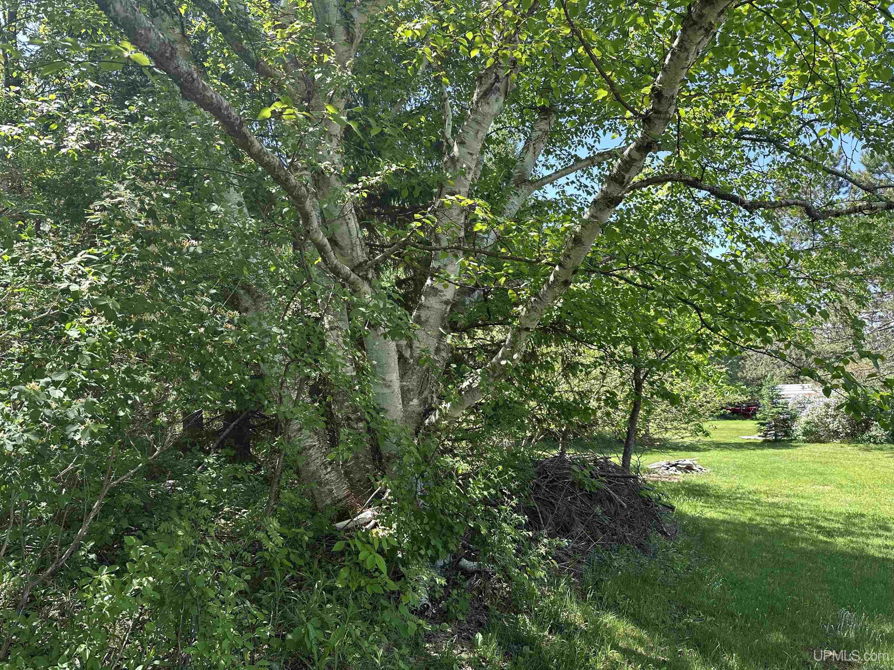421 & 419 Cary Road Property Photo 47