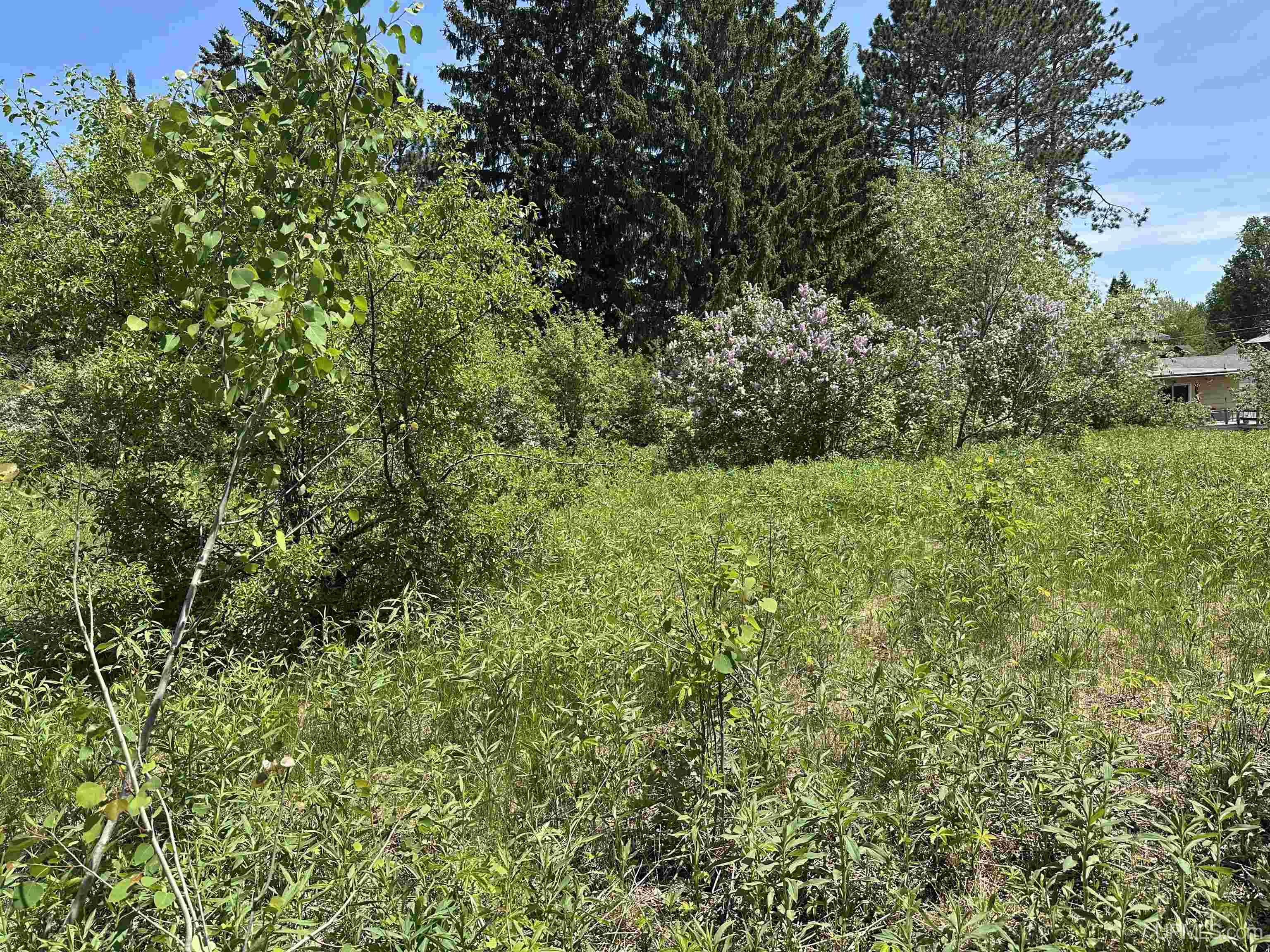 421 & 419 Cary Road Property Photo 50