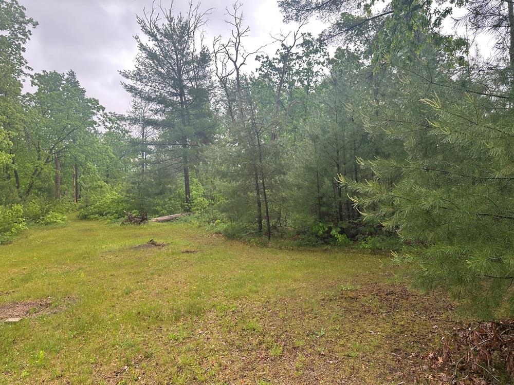 730 W Elder Drive Property Photo 15