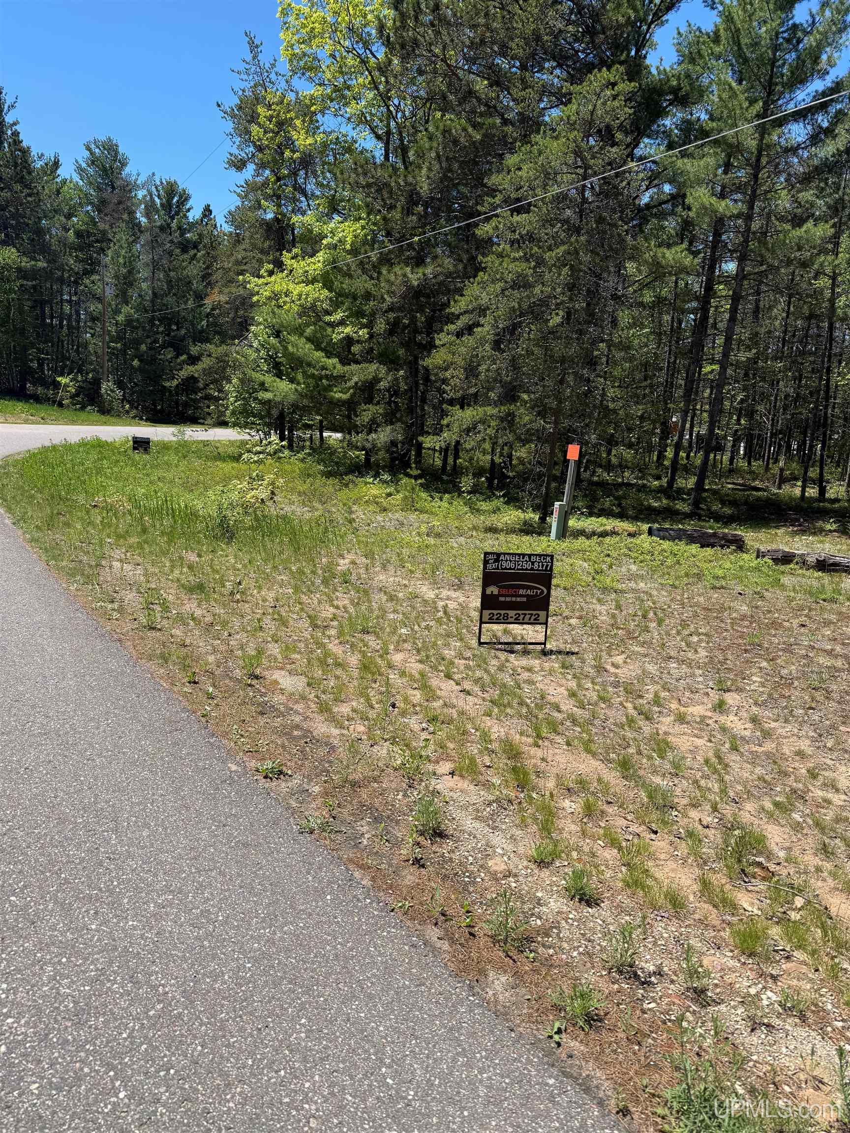 Lot 49 Pine View Road Property Photo 1