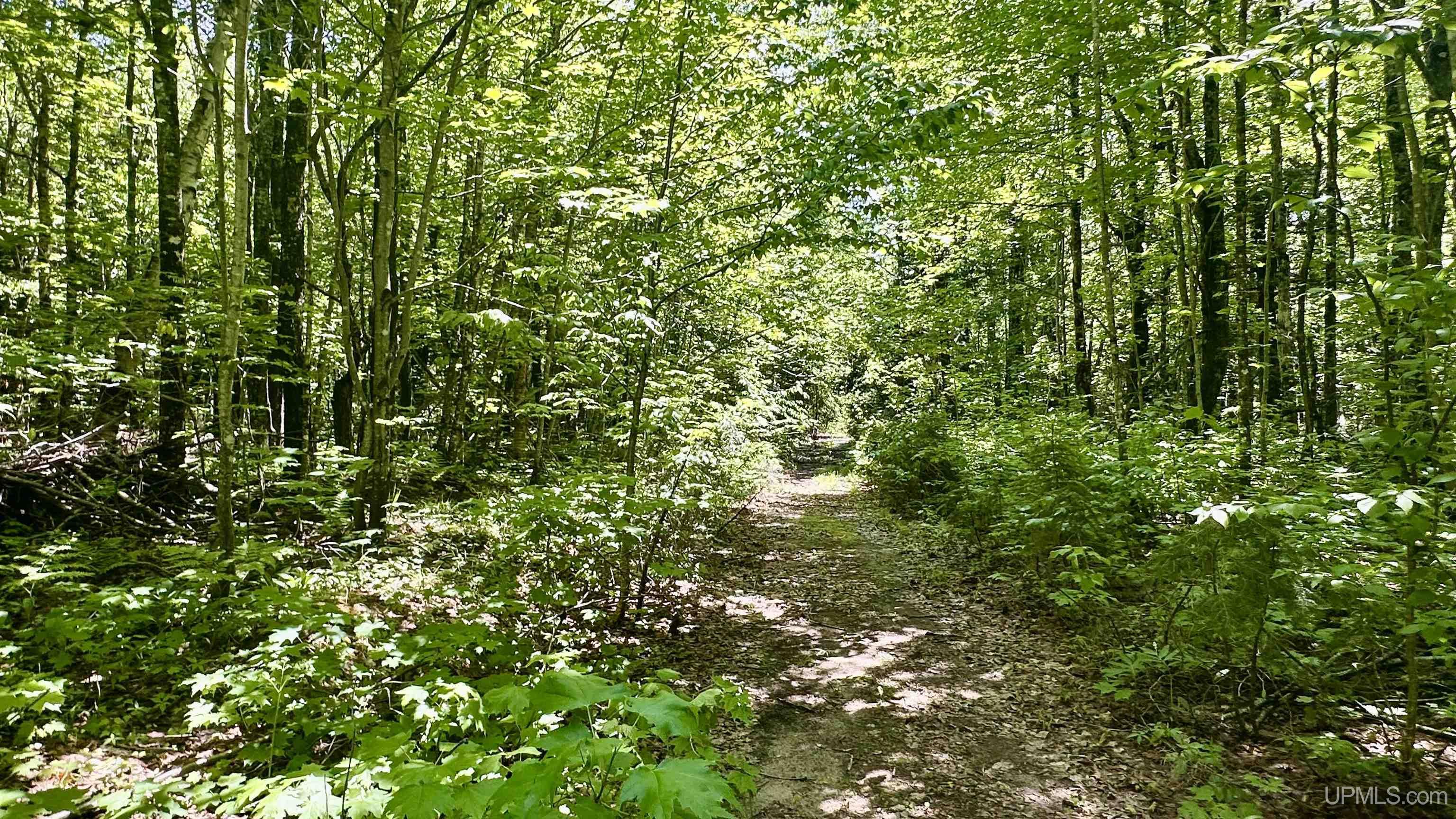 7450 Northwestern Road Property Photo 2