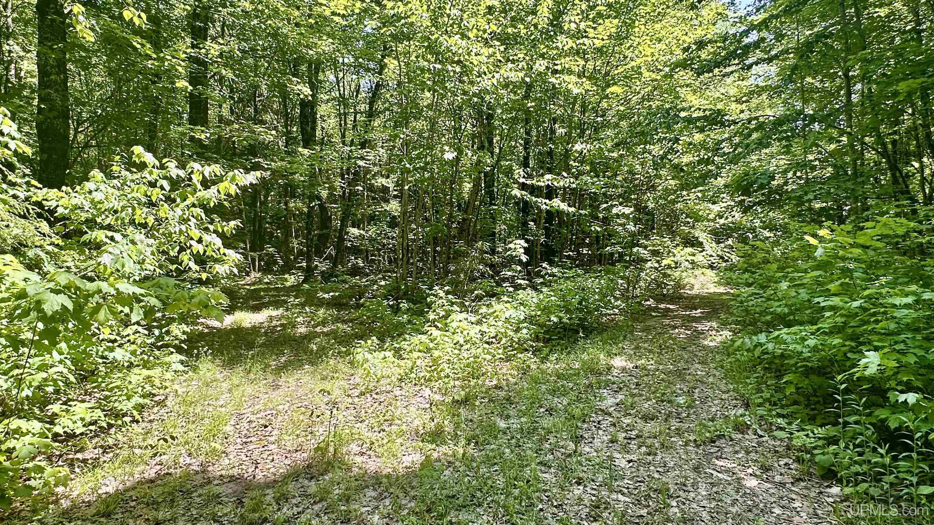 7450 Northwestern Road Property Photo 33
