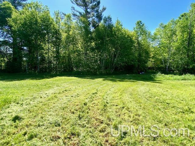 1875 E Little Lake Road Property Photo 28