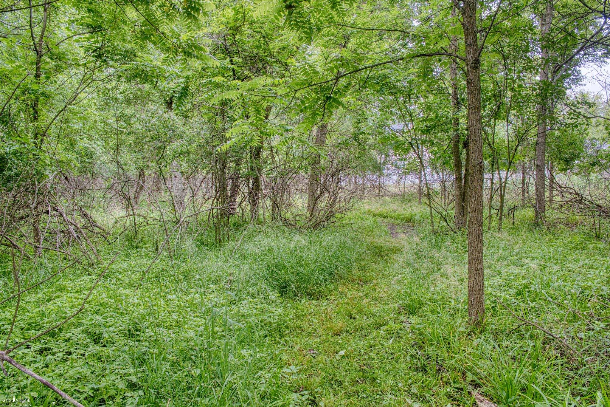 1445 W North Street Property Photo 43