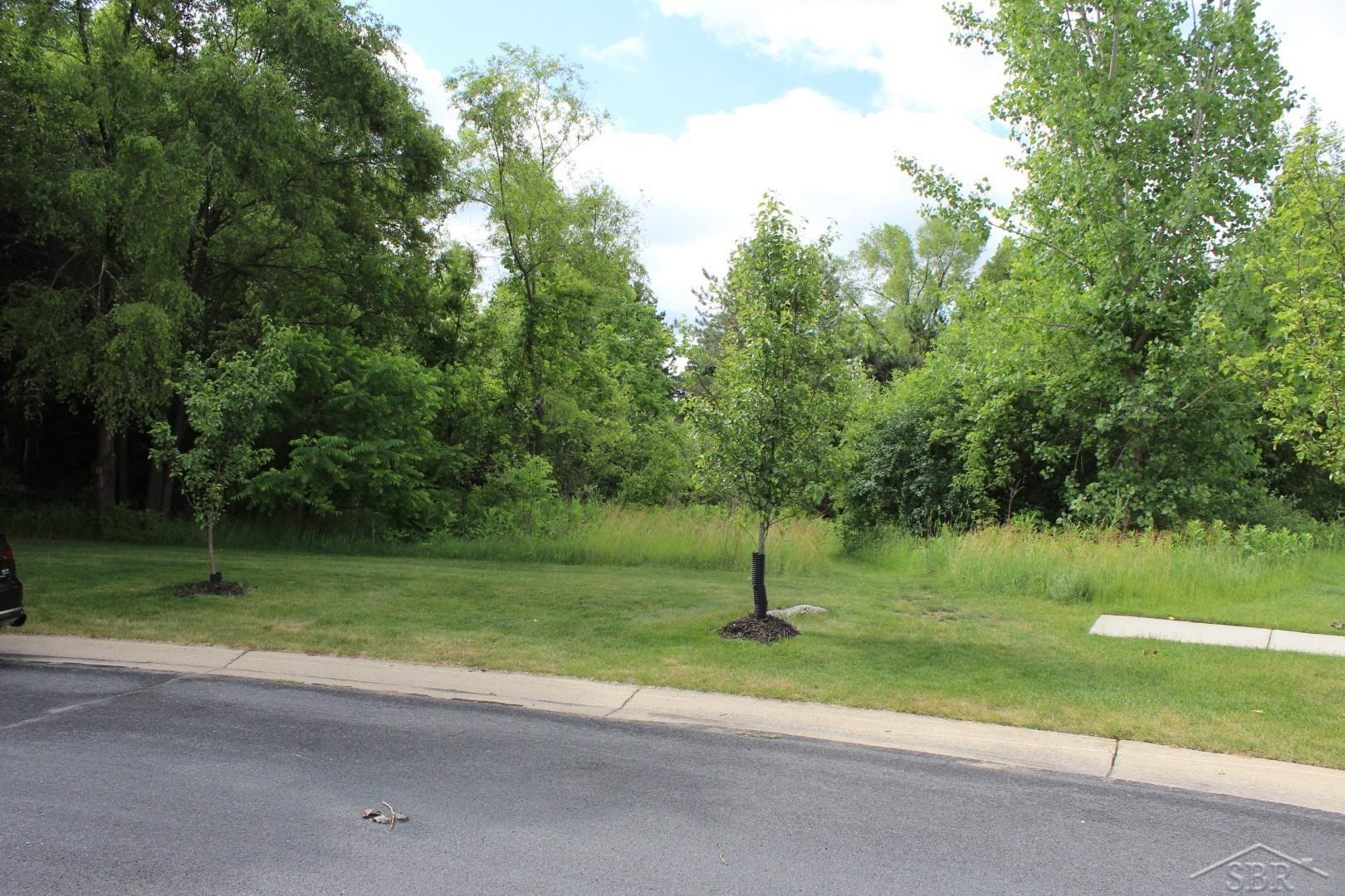 Lot 86 Edgebrook Drive Property Photo 1