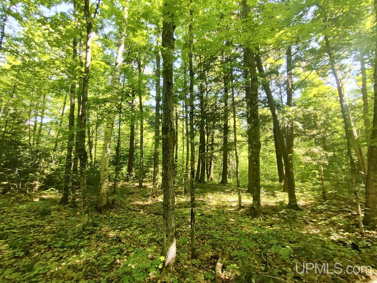 184 Marten Lake Road Property Photo 16