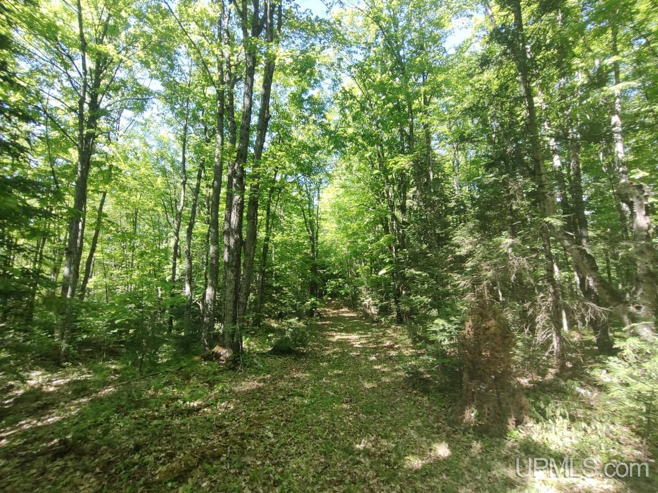 184 Marten Lake Road Property Photo 19