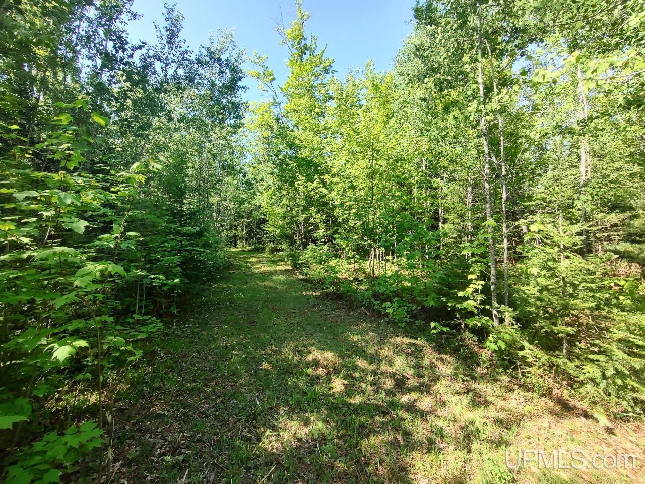 184 Marten Lake Road Property Photo 20
