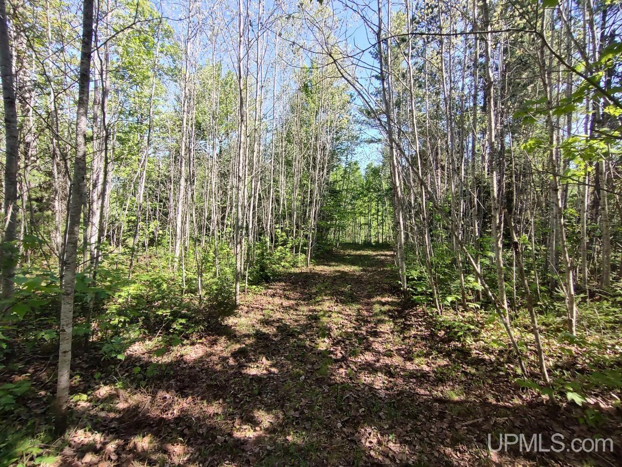 184 Marten Lake Road Property Photo 21