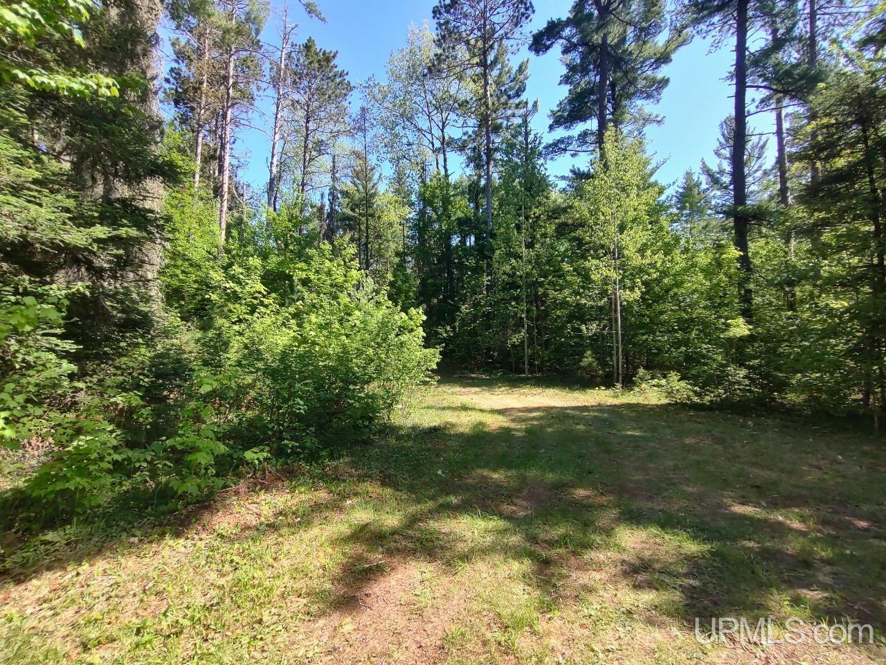 184 Marten Lake Road Property Photo 22