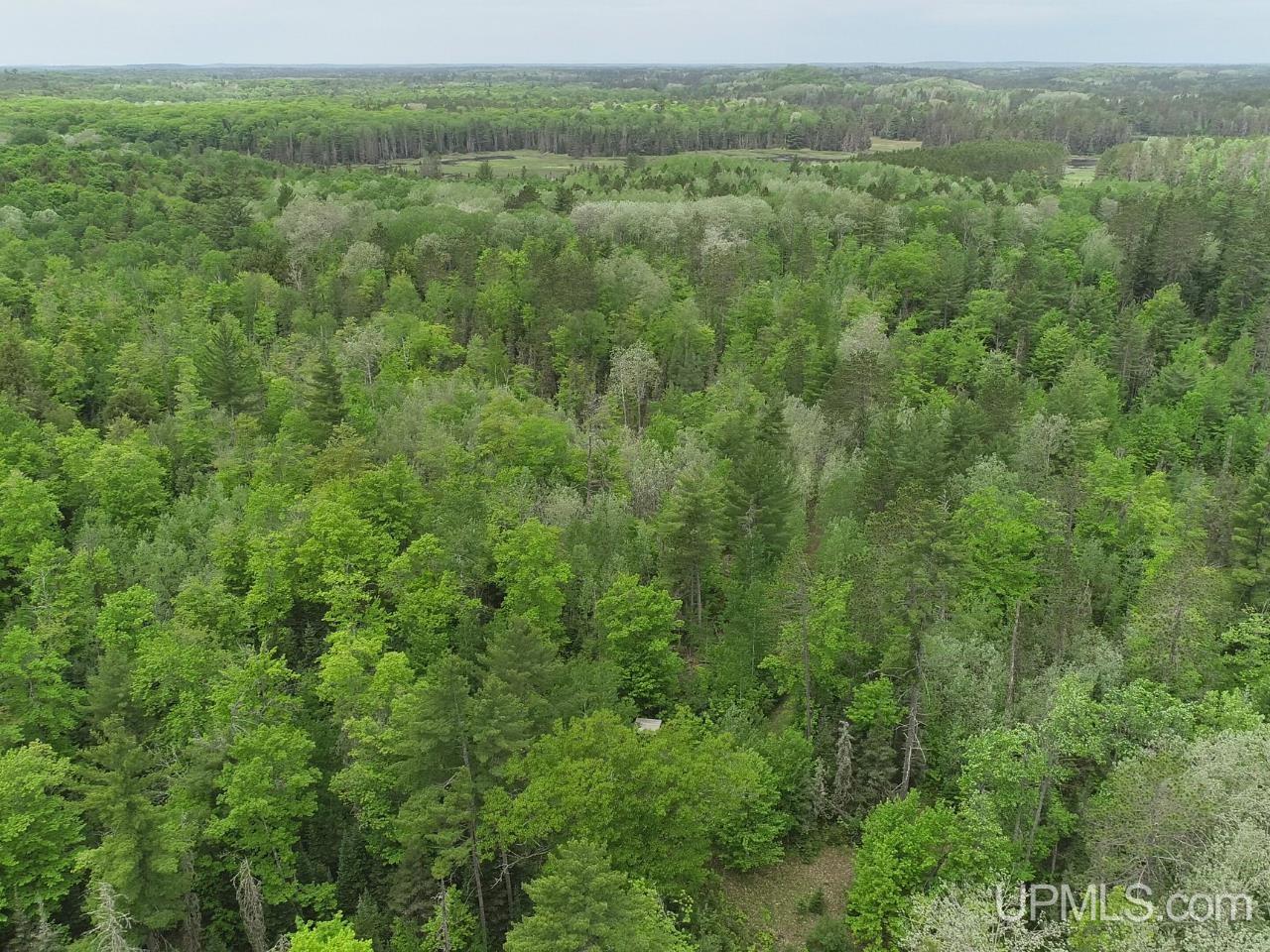 184 Marten Lake Road Property Photo 25
