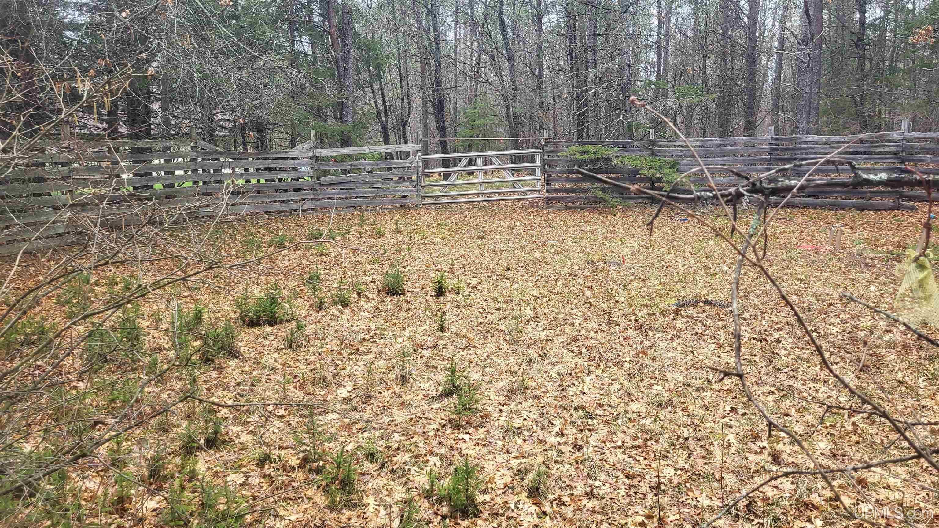 N9332 Deer Lake Road Property Photo 38