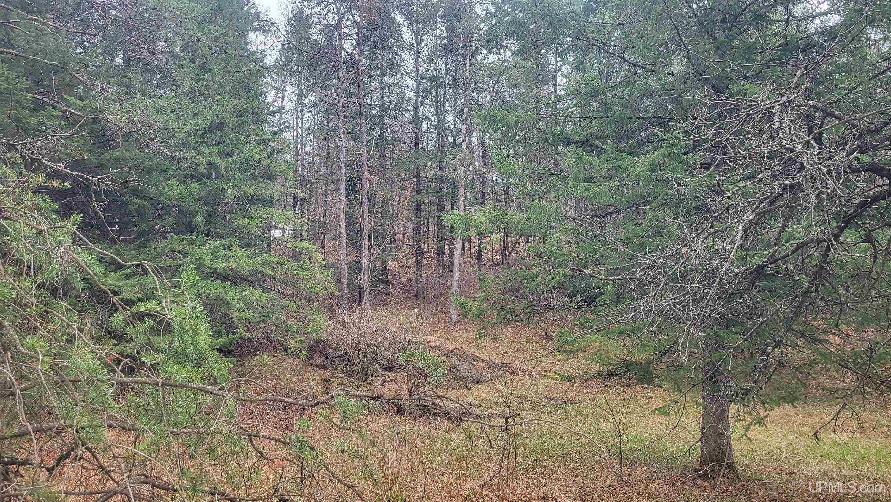 N9332 Deer Lake Road Property Photo 39