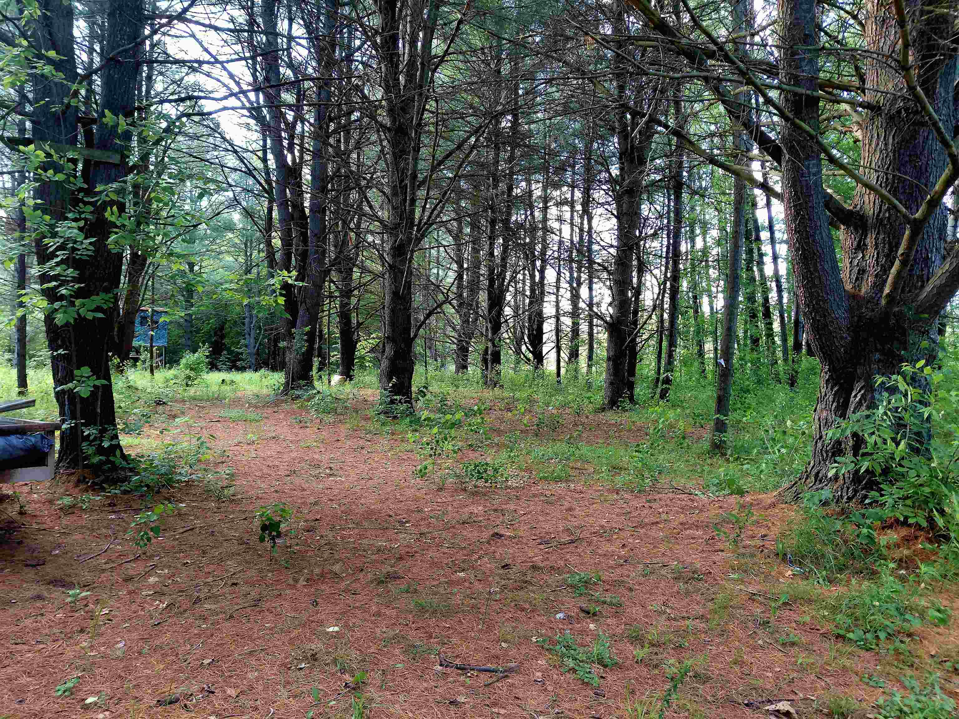 9170 W Gladwin Road Property Photo 13