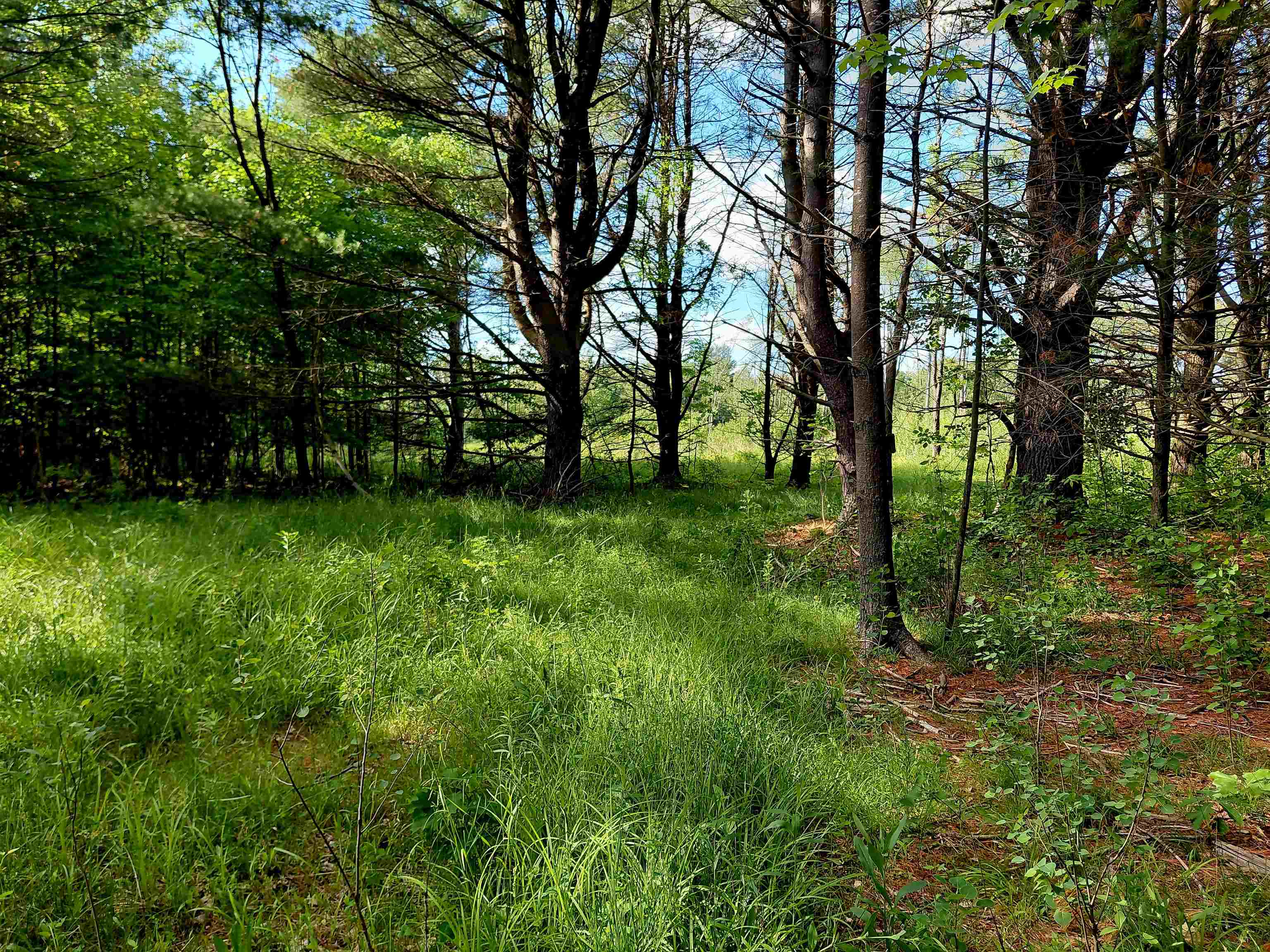 9170 W Gladwin Road Property Photo 16