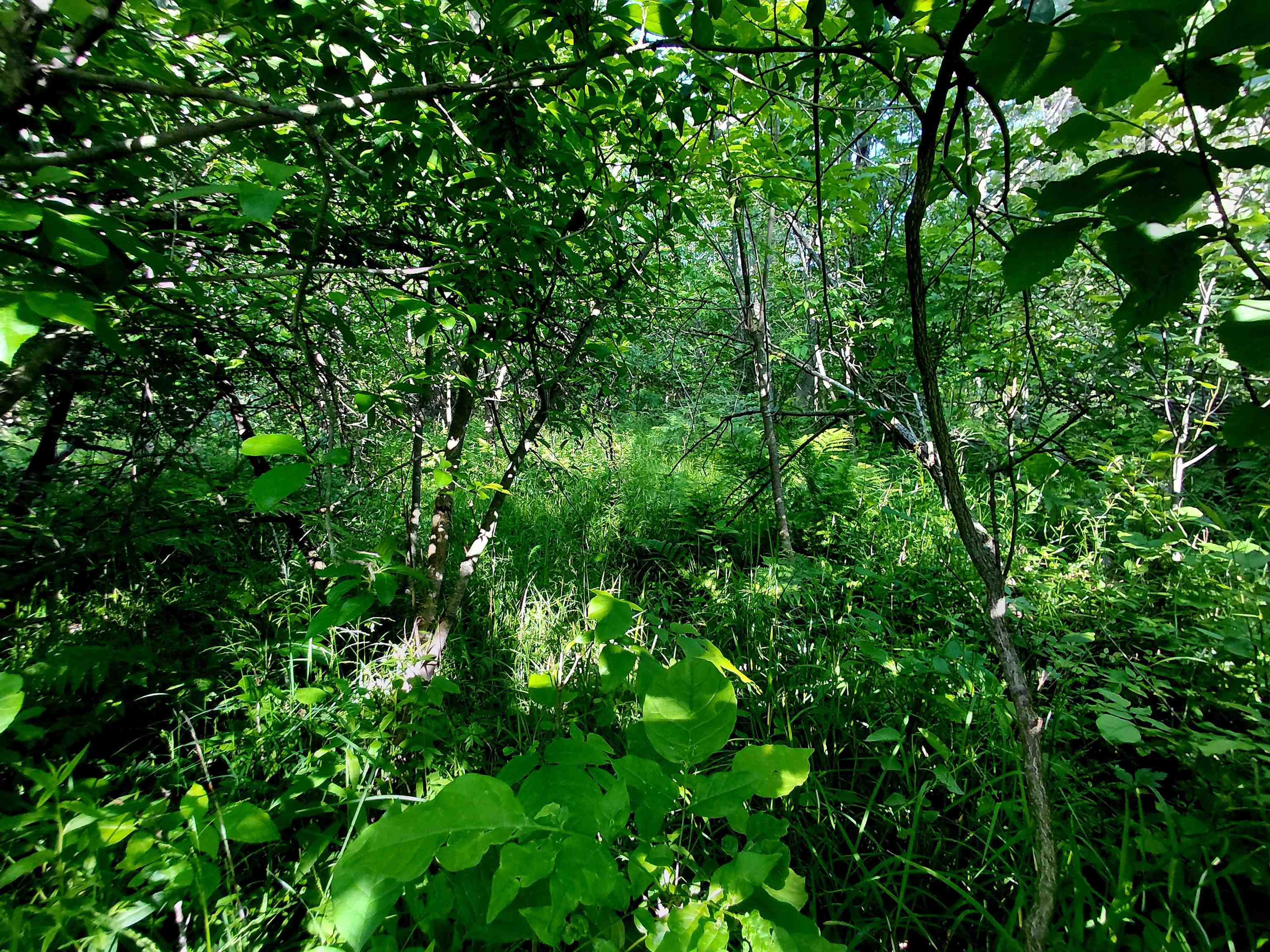 9170 W Gladwin Road Property Photo 24