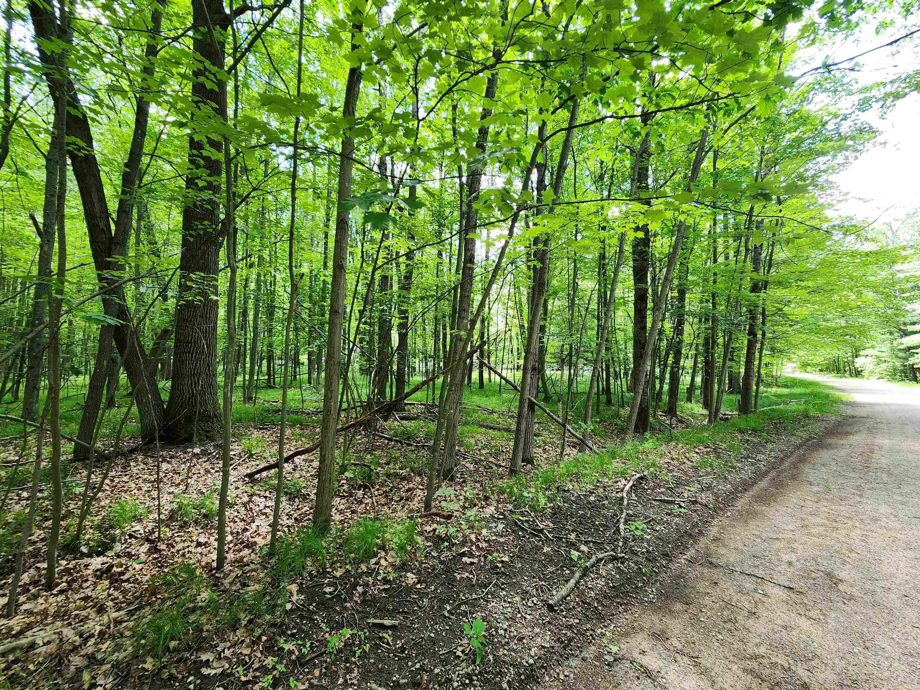Lot 1118 White Birch Lane Property Photo 1