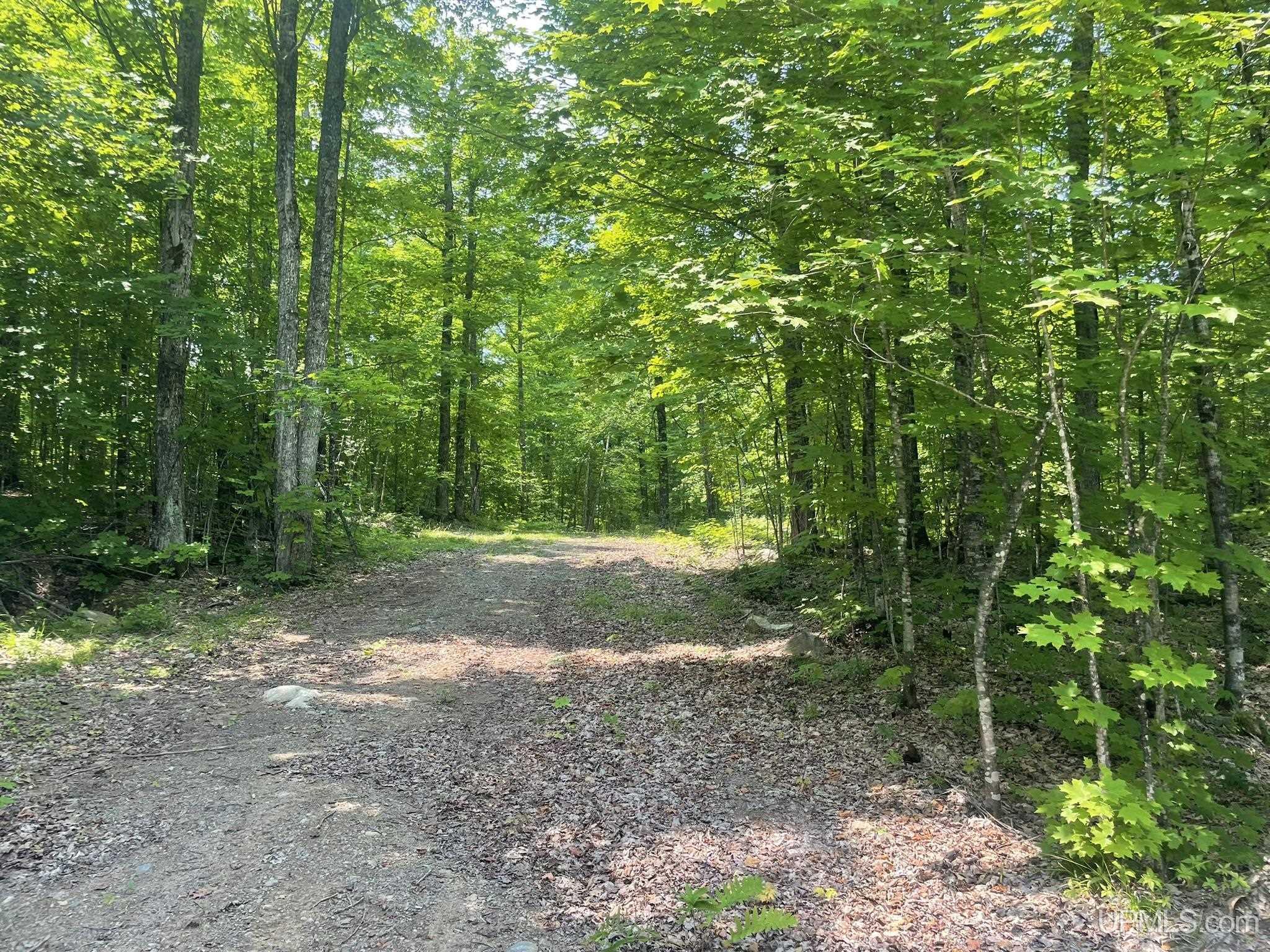 Tbd Floating Bear Trail Property Photo 11