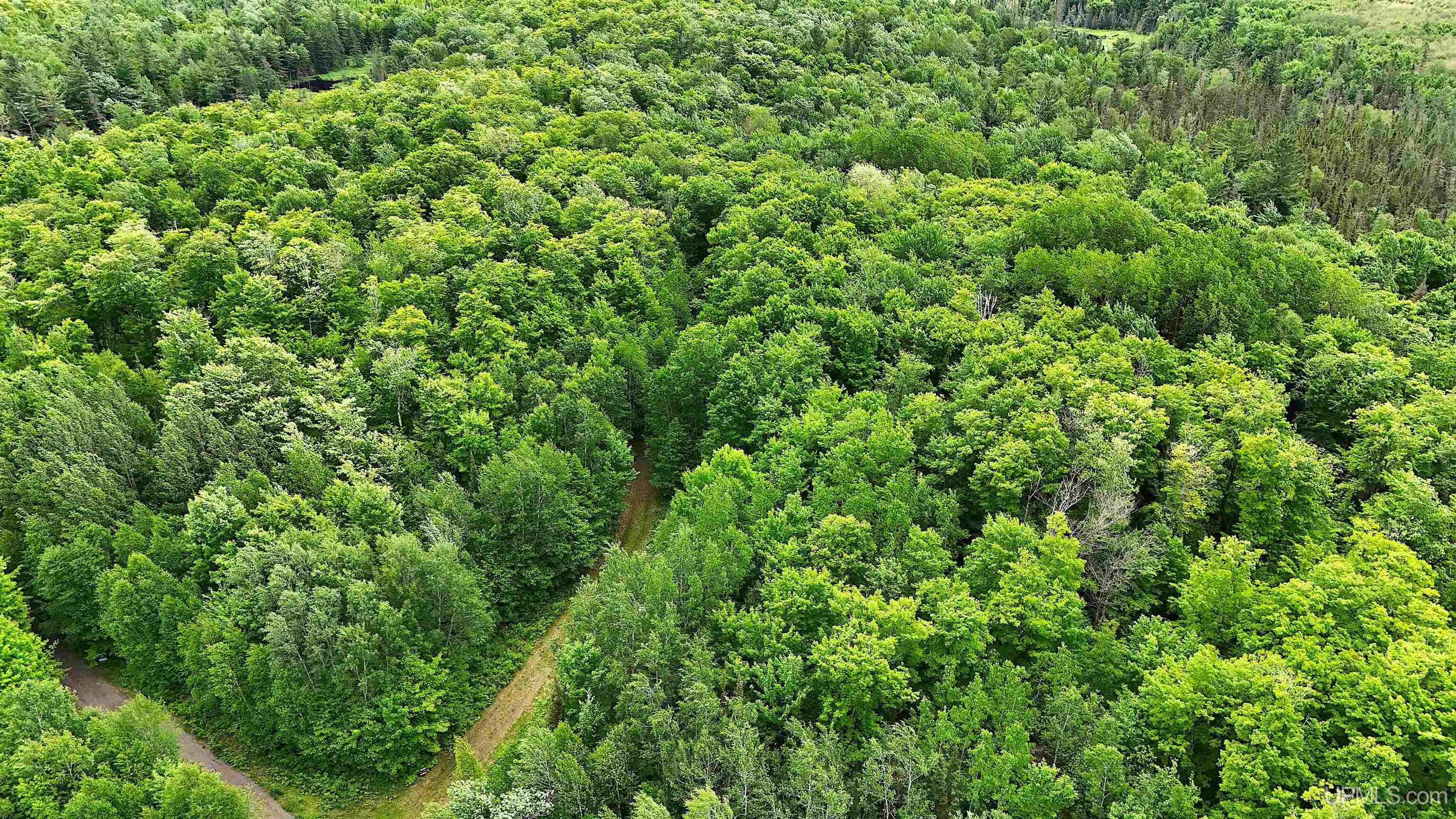 Tbd Floating Bear Trail Property Photo 12