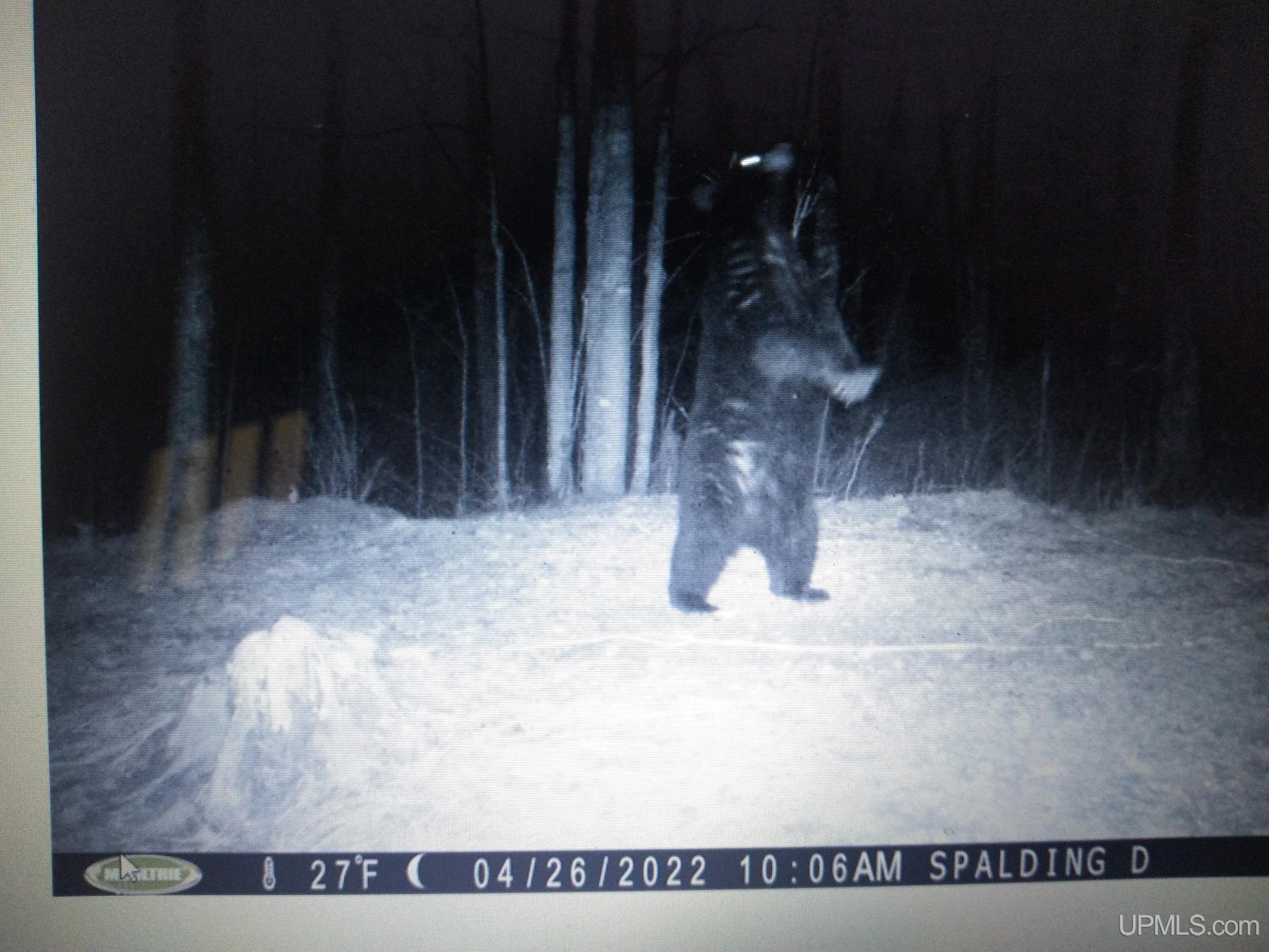 Tbd Floating Bear Trail Property Photo 15