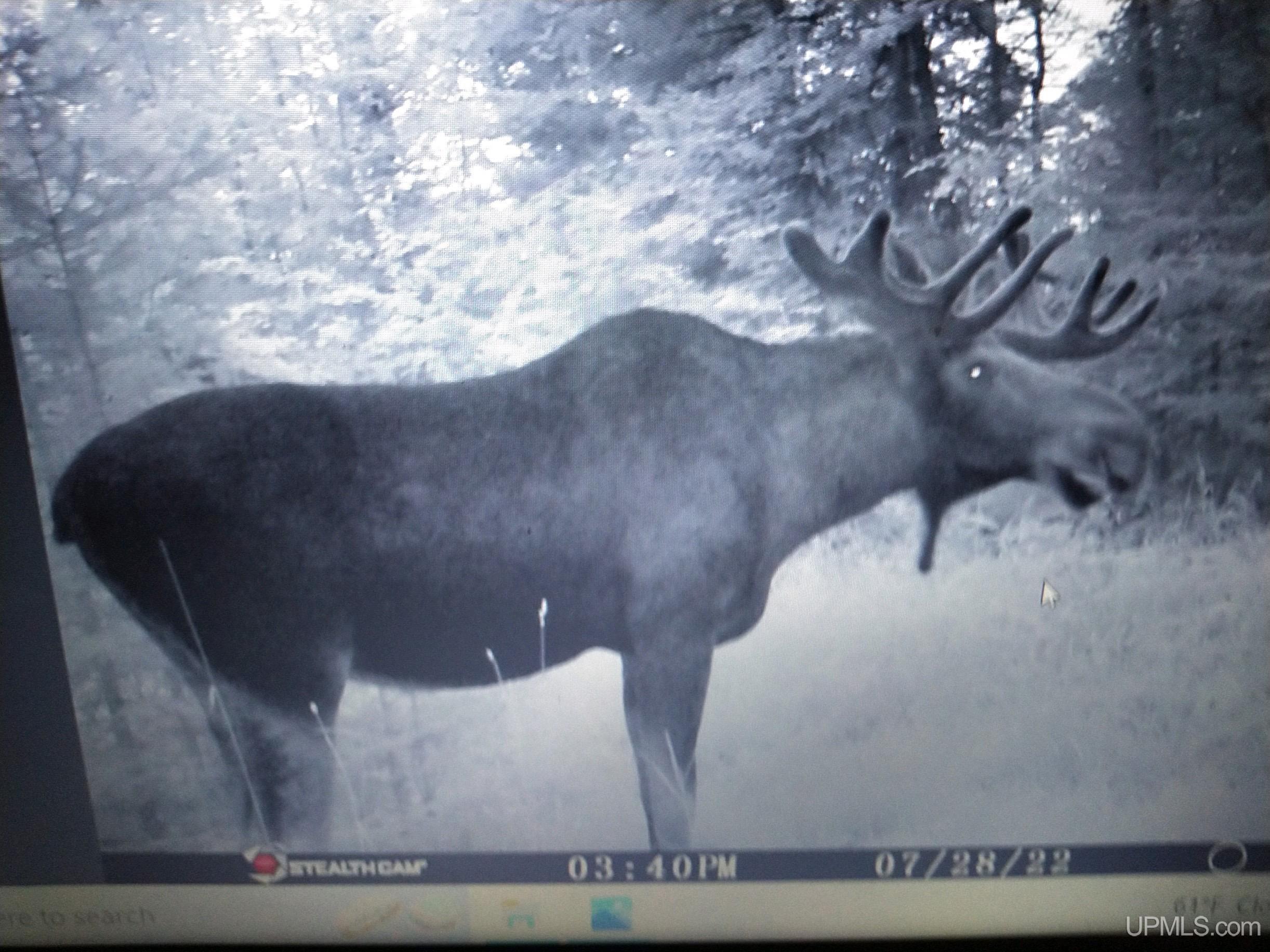 Tbd Floating Bear Trail Property Photo 16