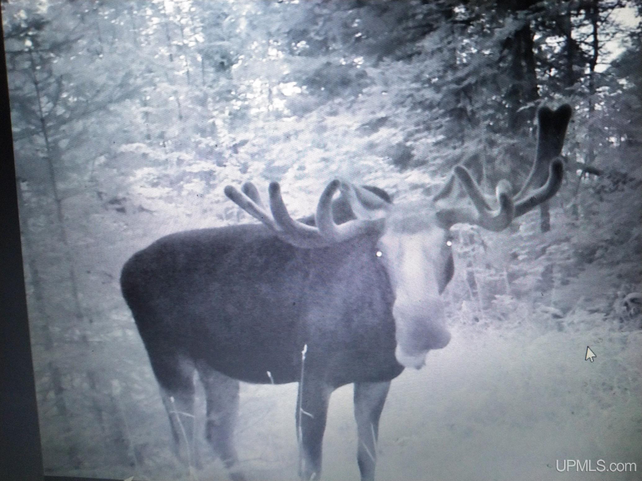Tbd Floating Bear Trail Property Photo 17