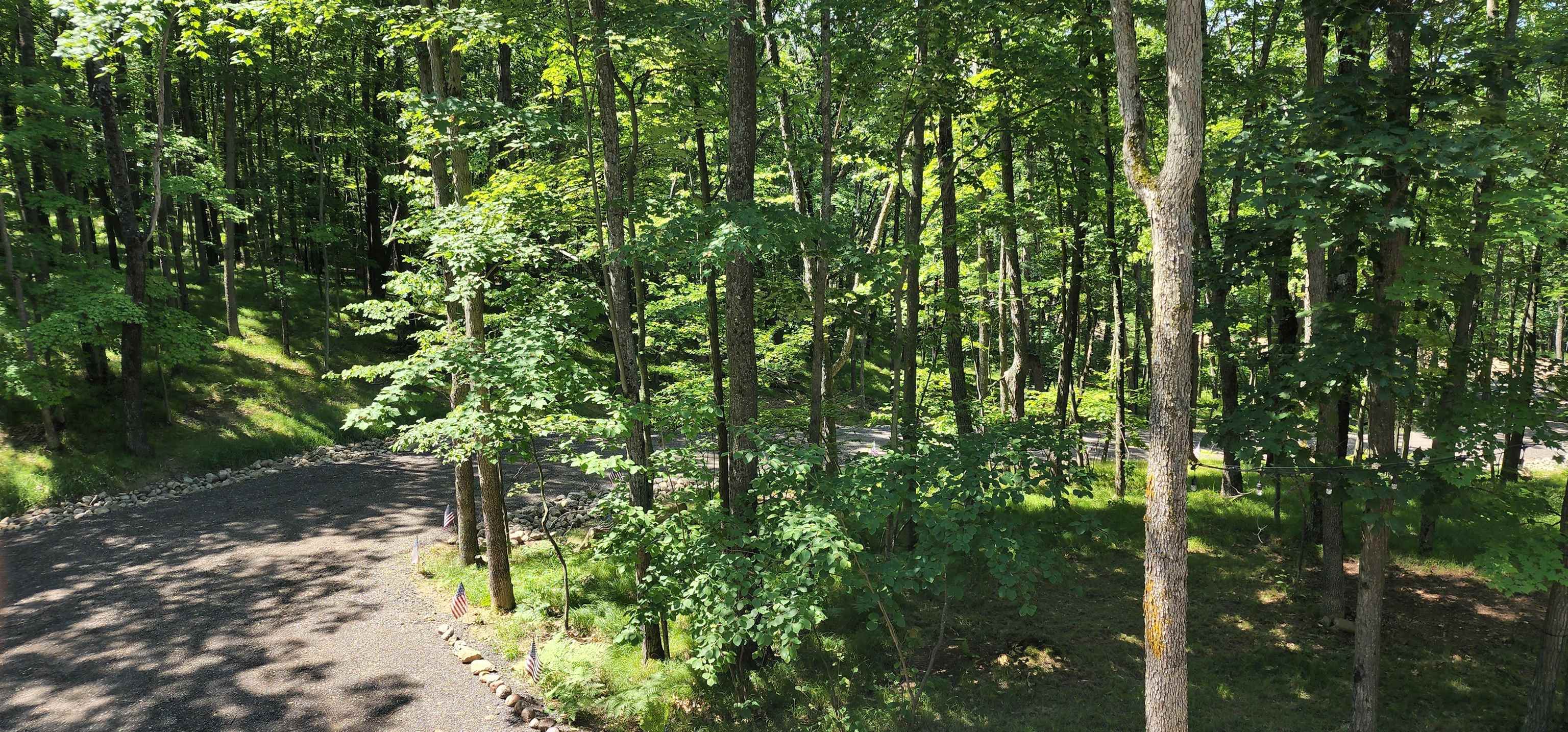 4801/4809 White Birch Lane Property Photo 11