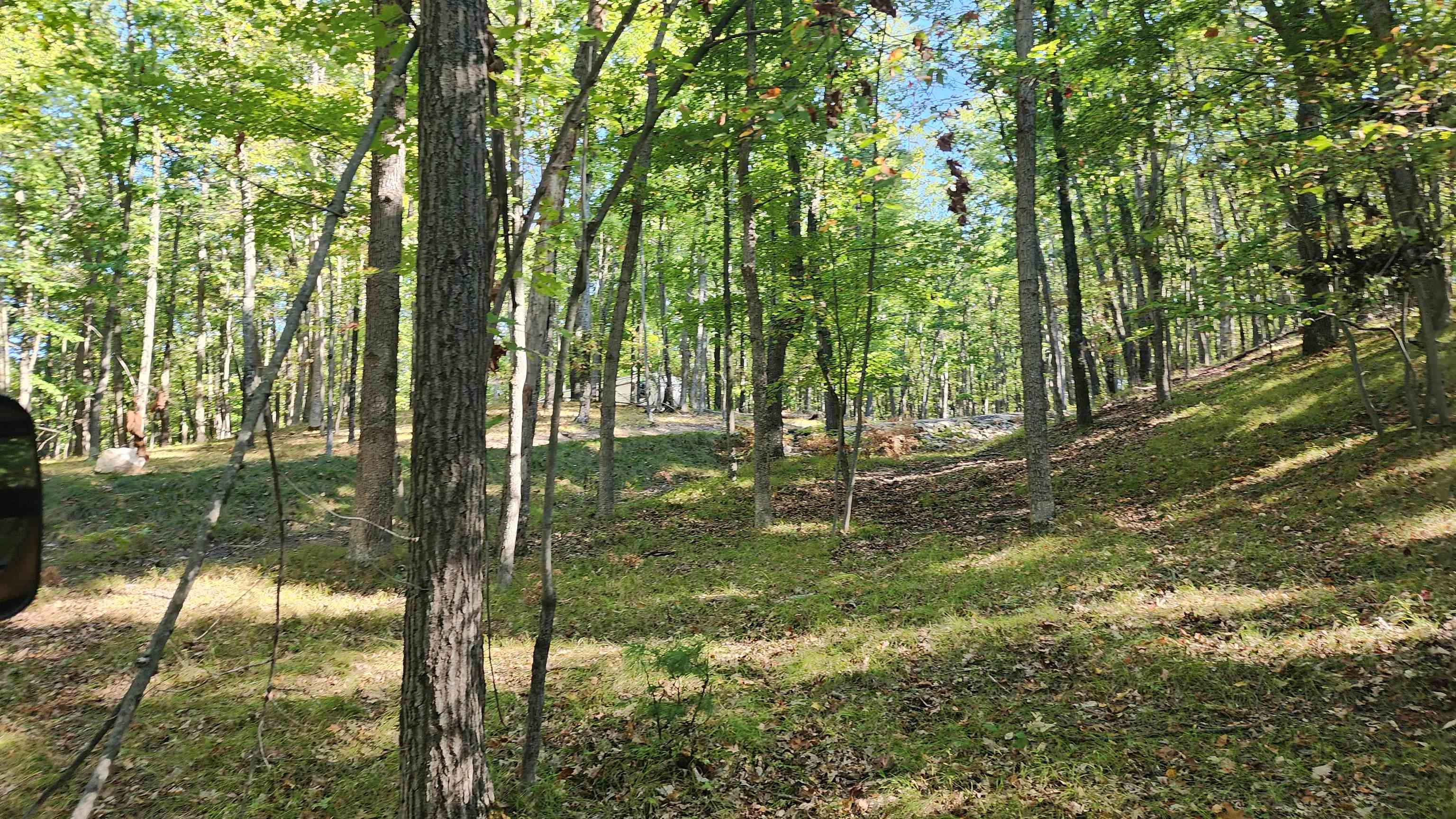 4801/4809 White Birch Lane Property Photo 13