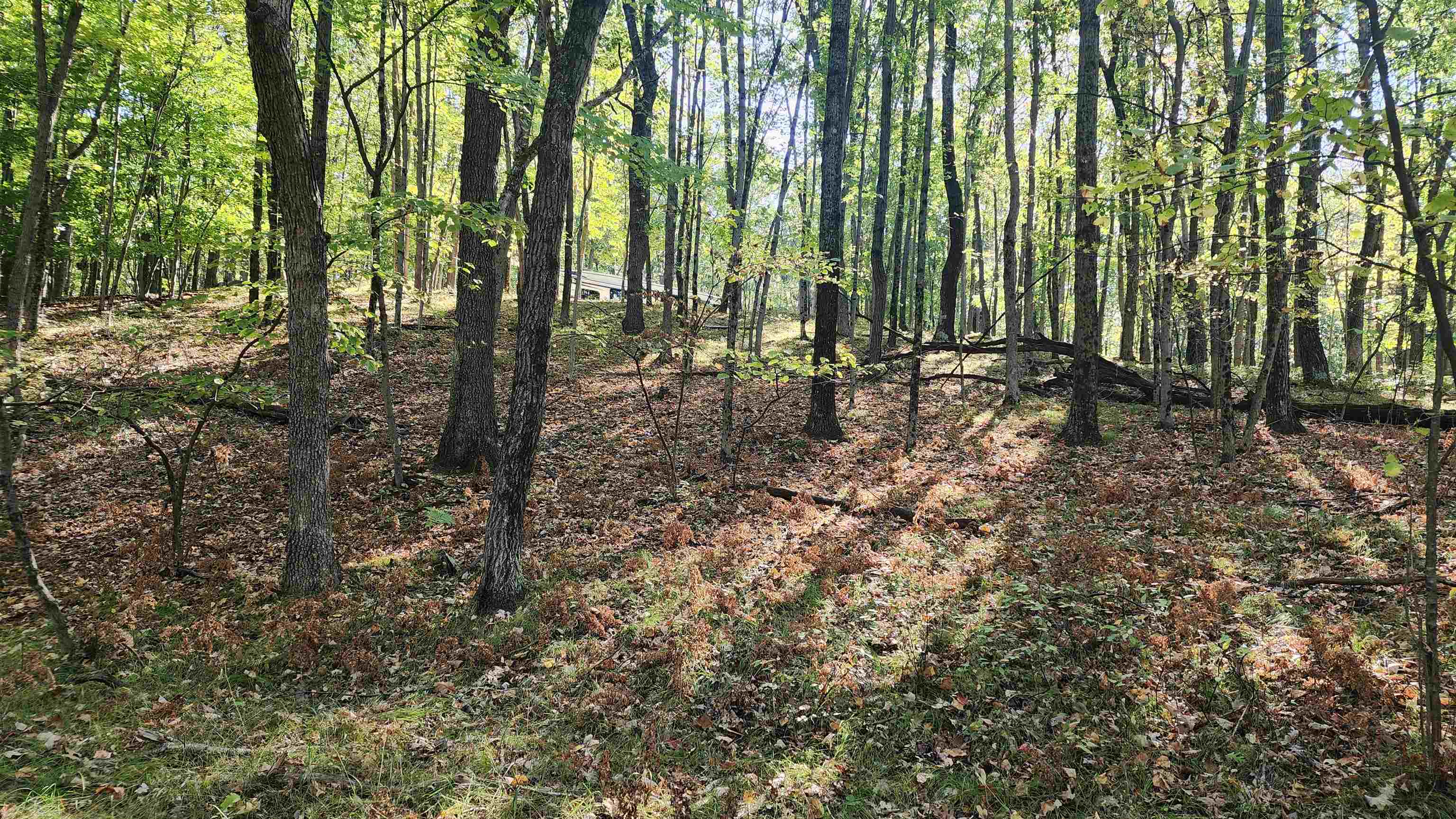 4801/4809 White Birch Lane Property Photo 14