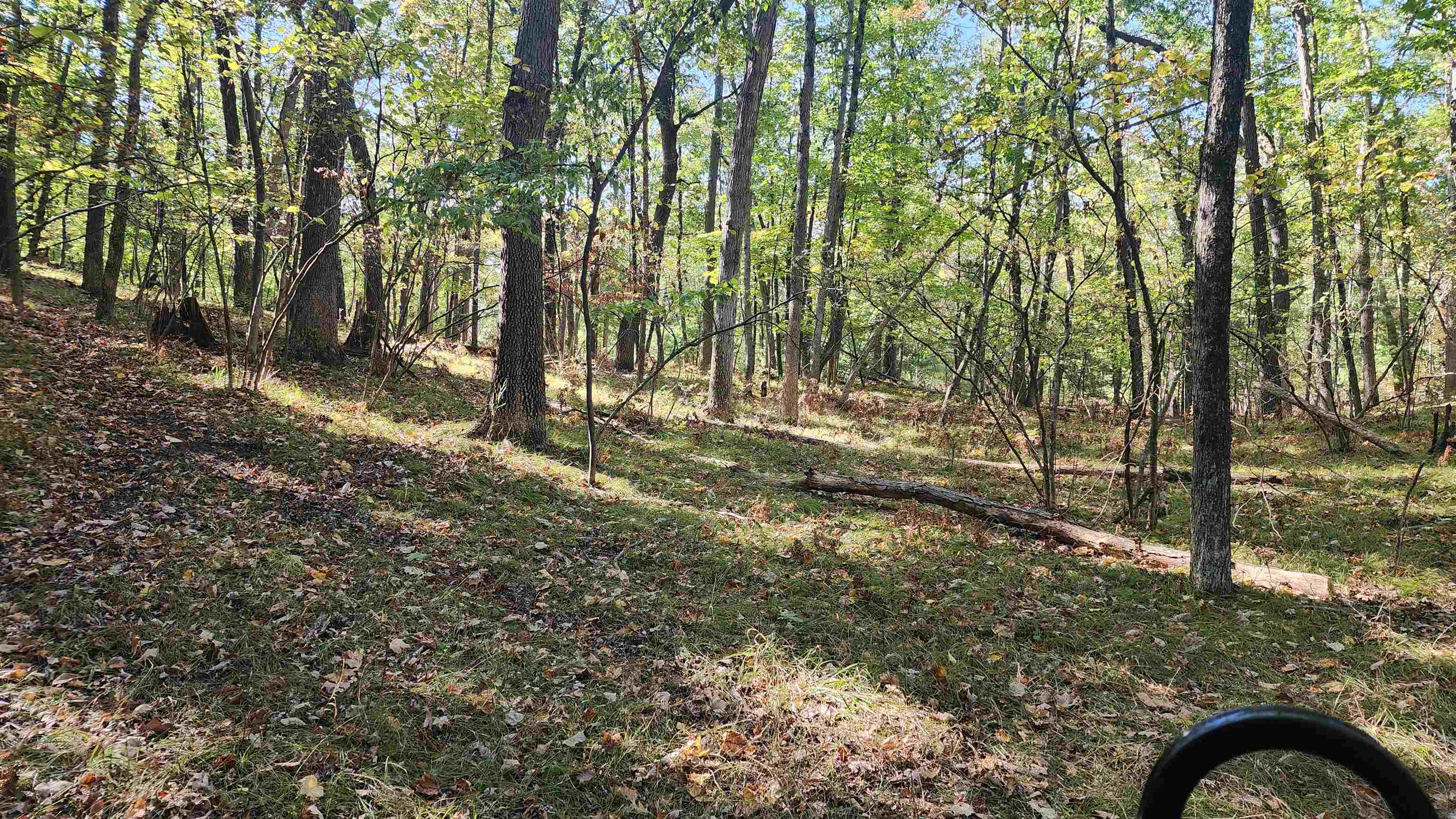4801/4809 White Birch Lane Property Photo 15