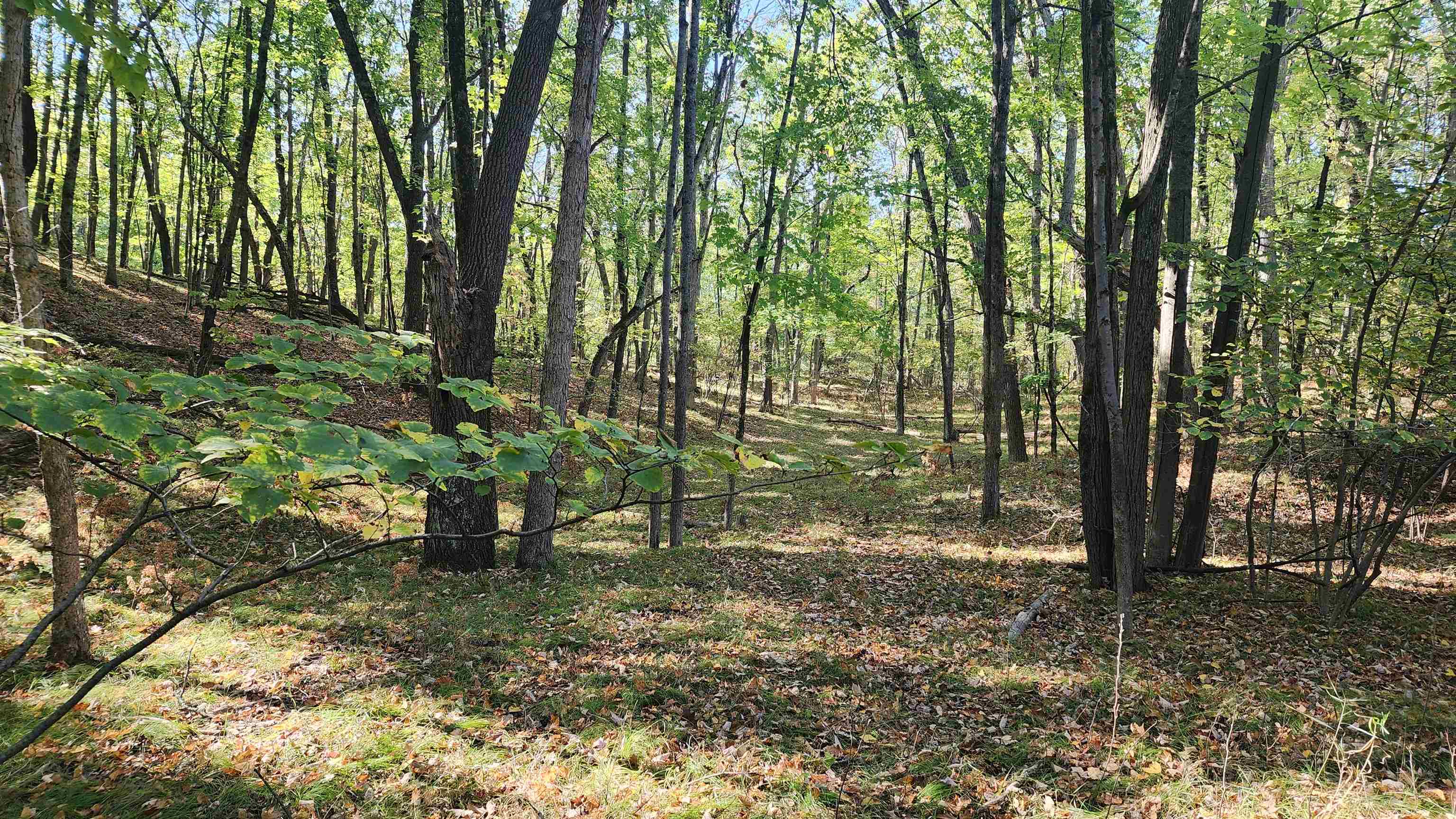 4801/4809 White Birch Lane Property Photo 16