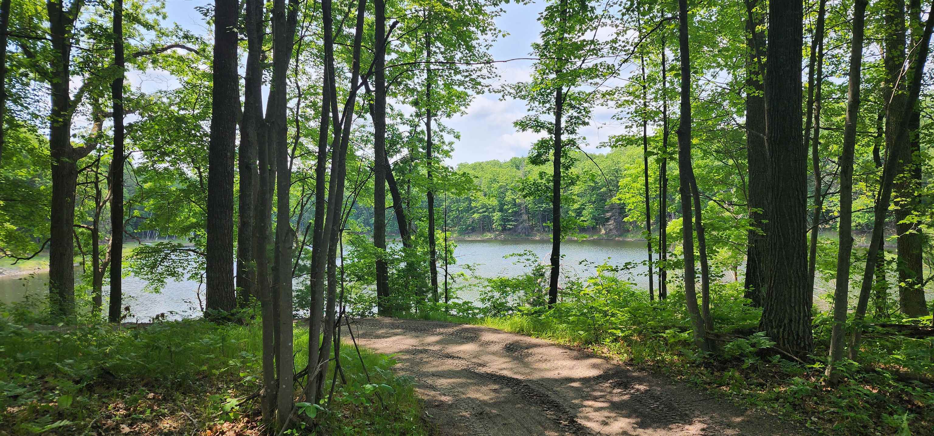 4801/4809 White Birch Lane Property Photo 19