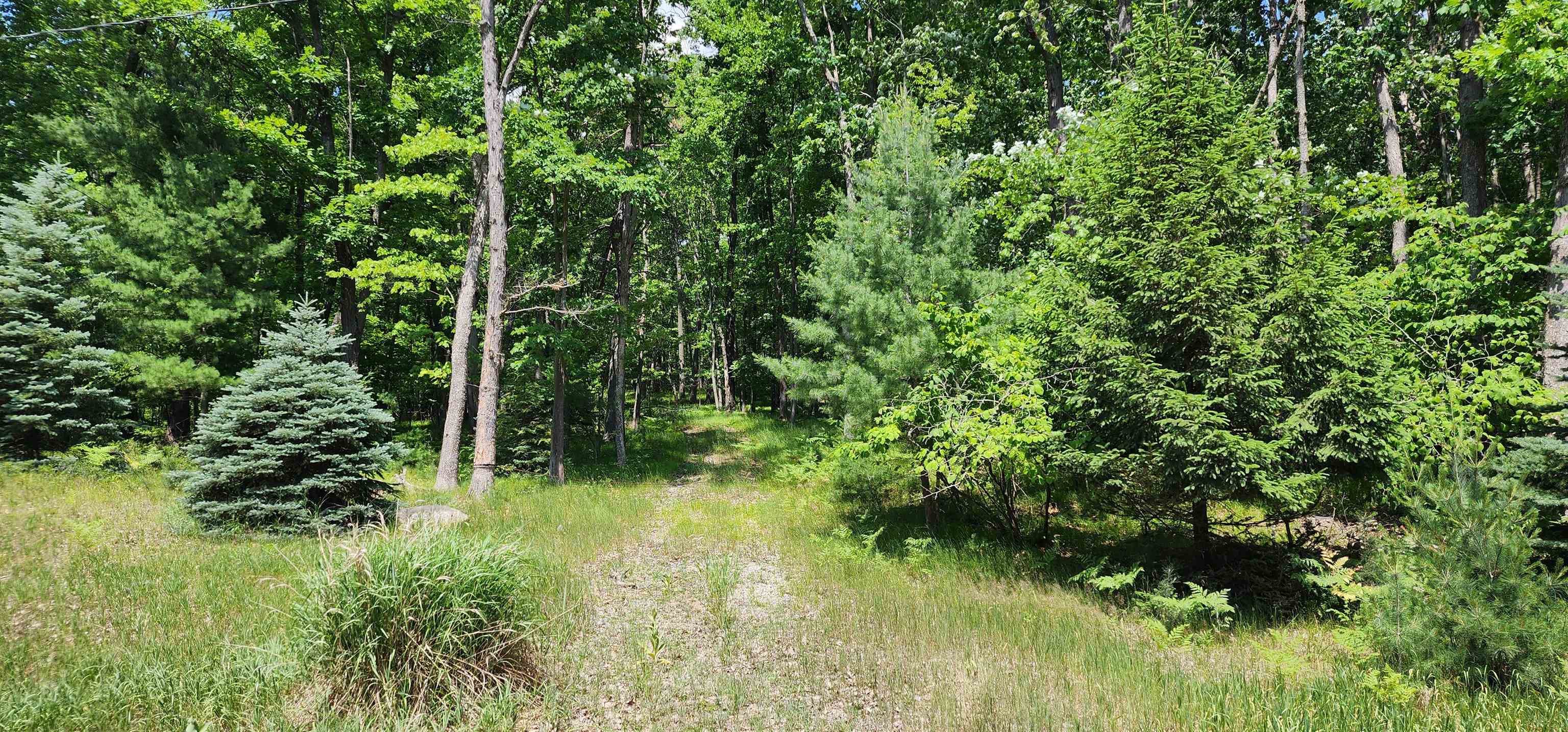 4801/4809 White Birch Lane Property Photo 24