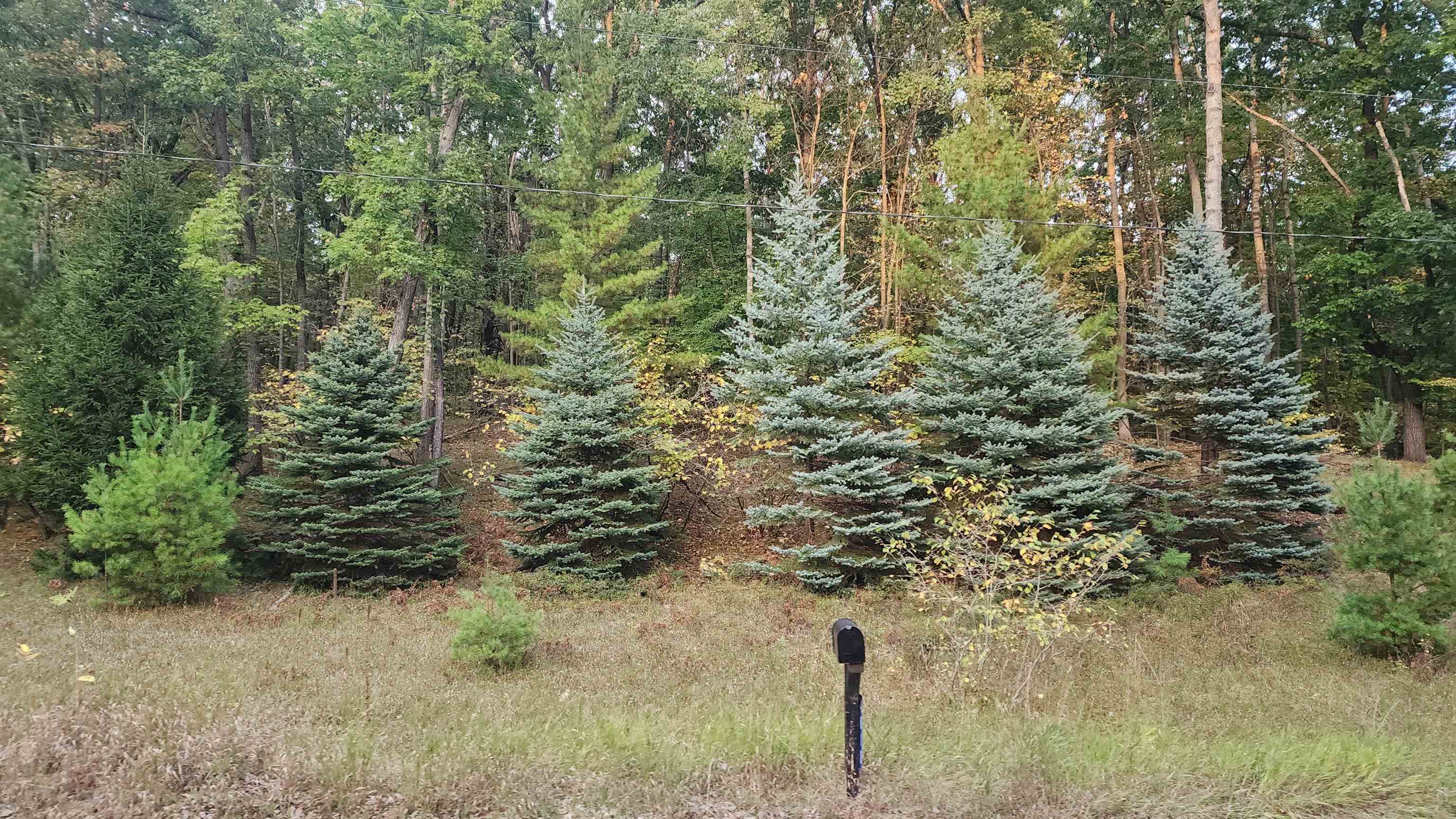 4801/4809 White Birch Lane Property Photo 25