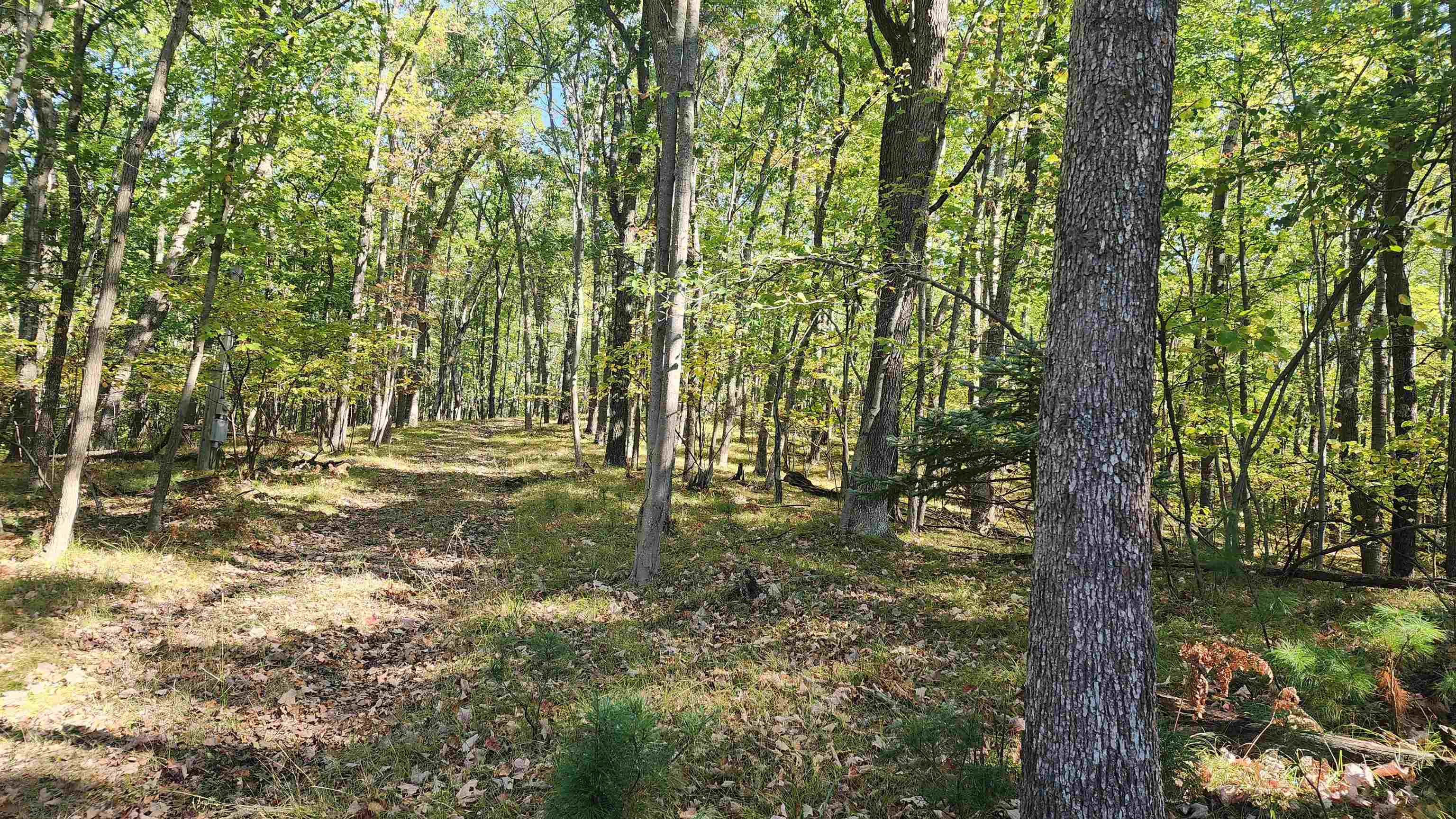 4801/4809 White Birch Lane Property Photo 26