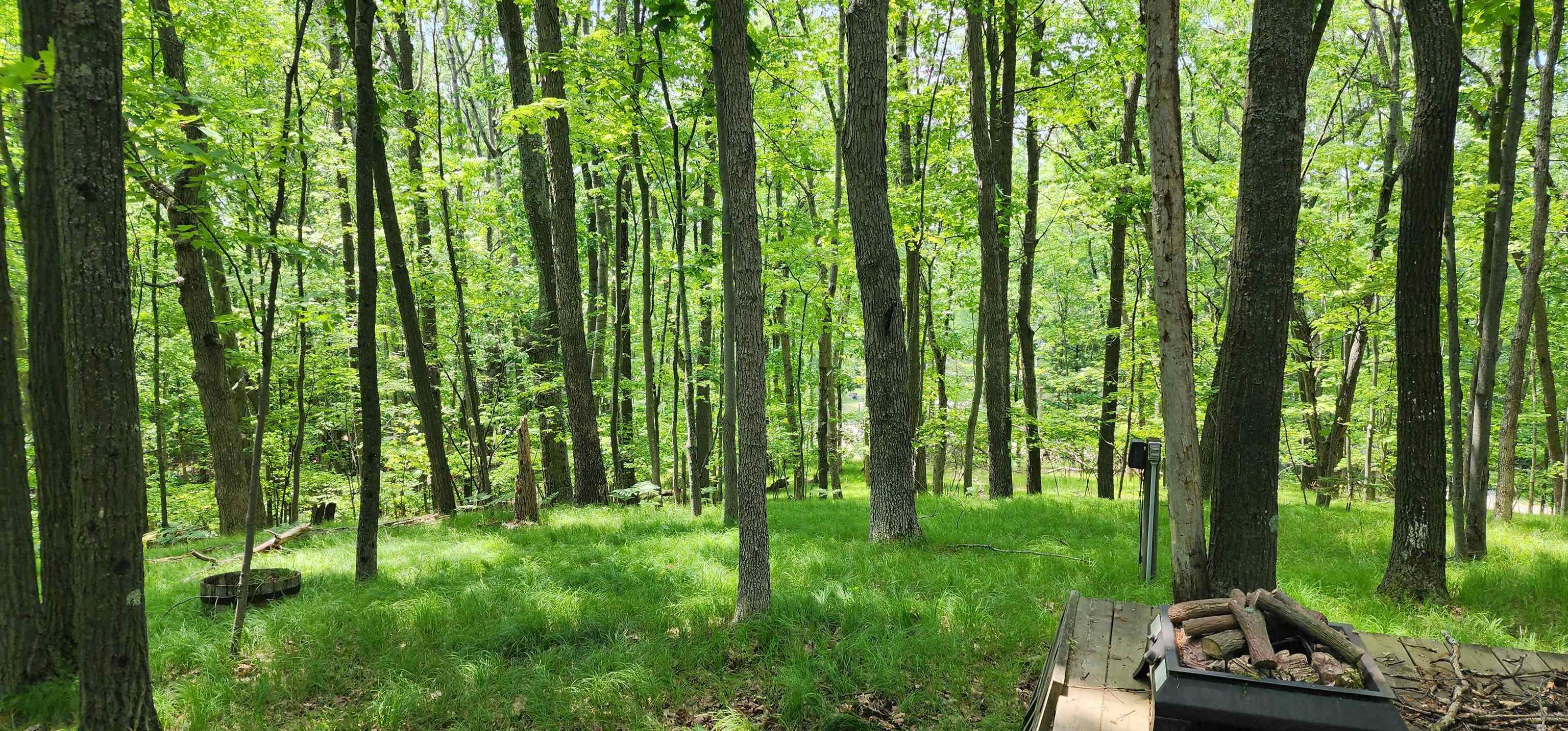 4801/4809 White Birch Lane Property Photo 29