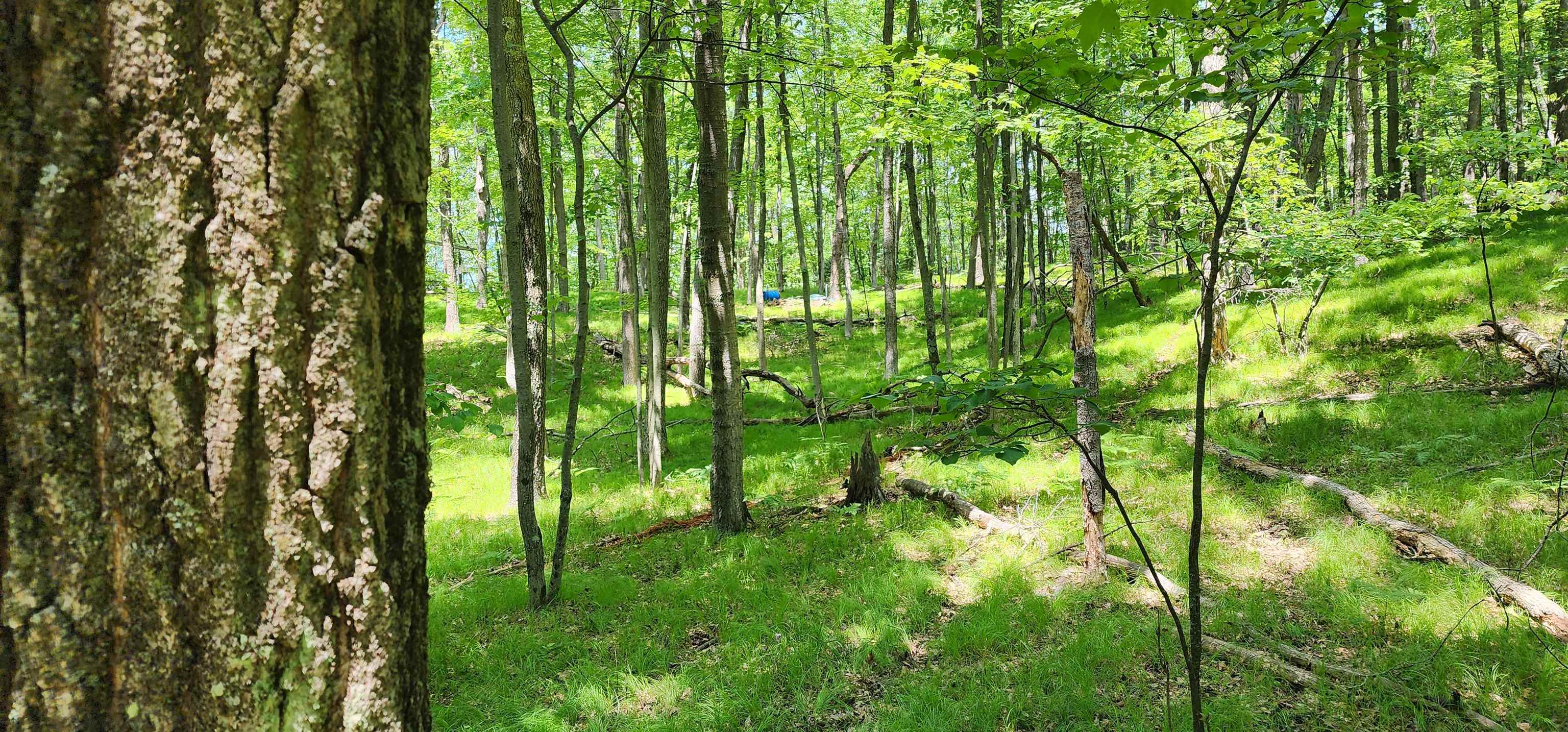 4801/4809 White Birch Lane Property Photo 30