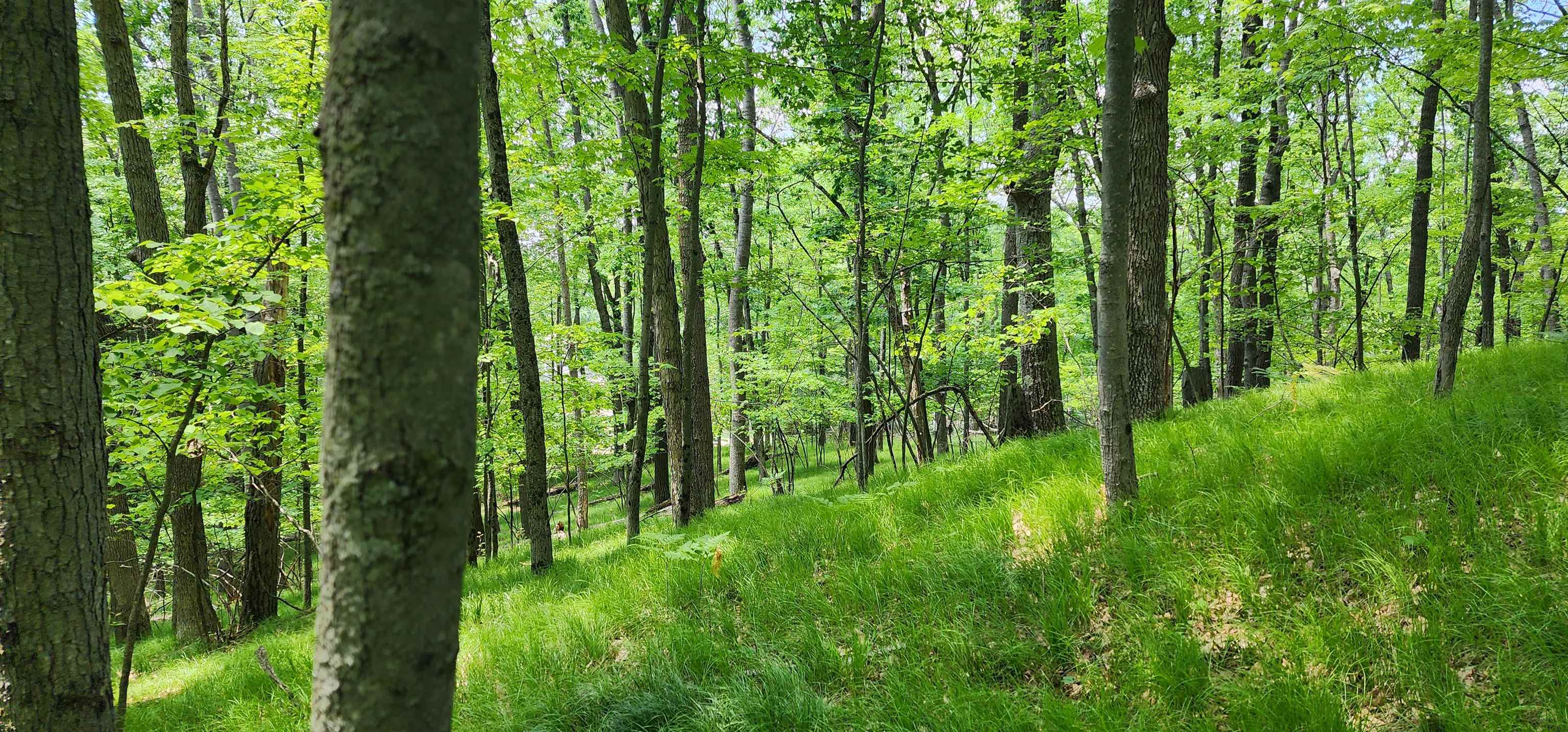 4801/4809 White Birch Lane Property Photo 31