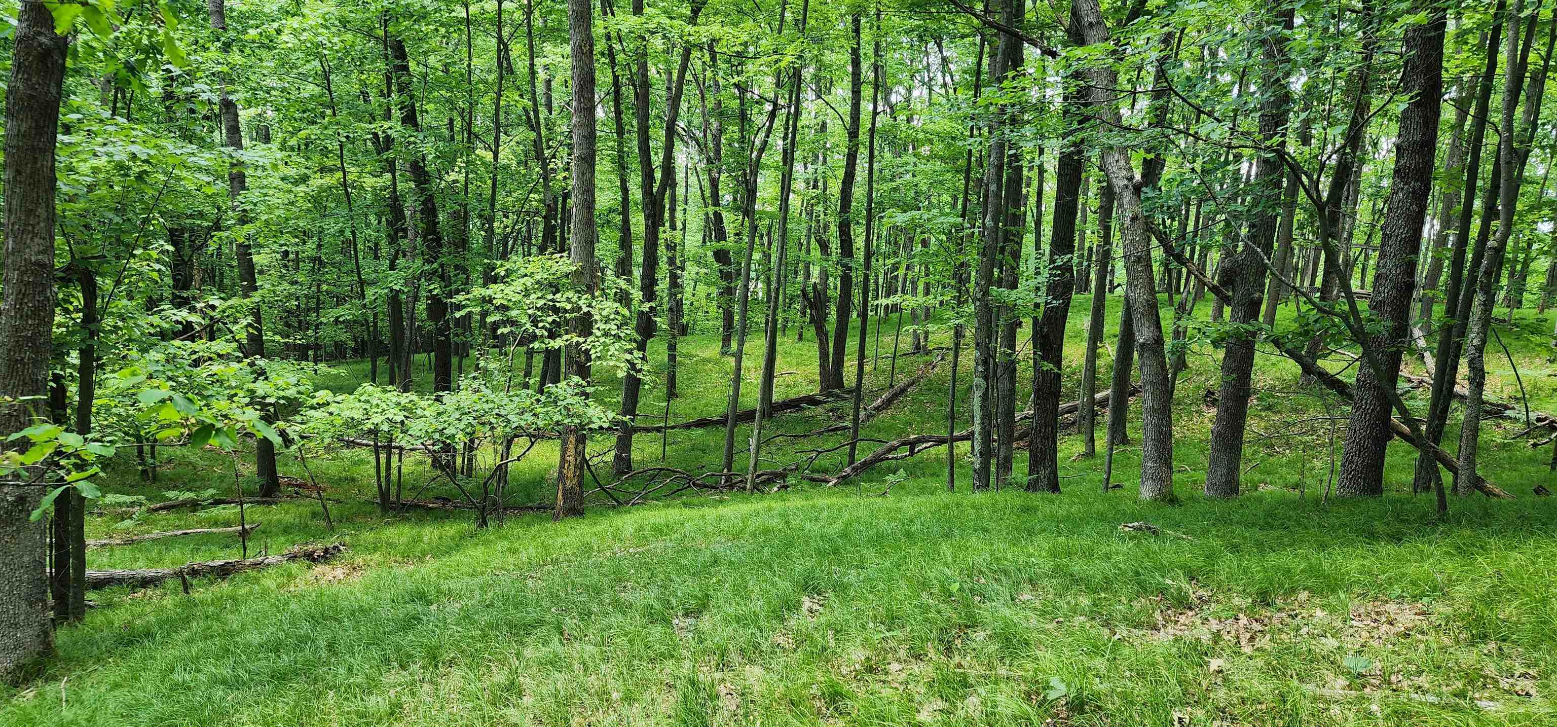 4801/4809 White Birch Lane Property Photo 32