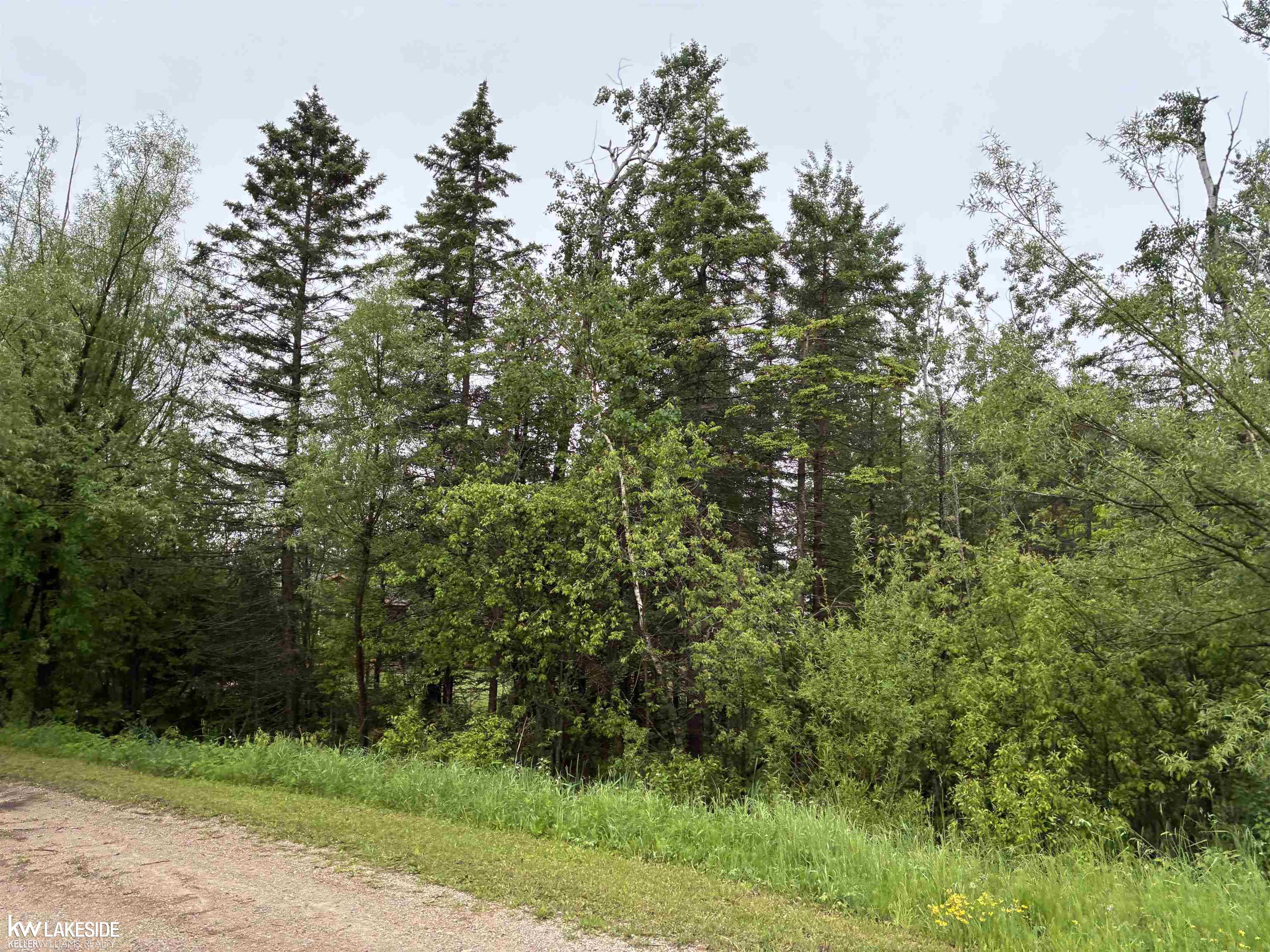 14027 Goebel Road Property Photo 3